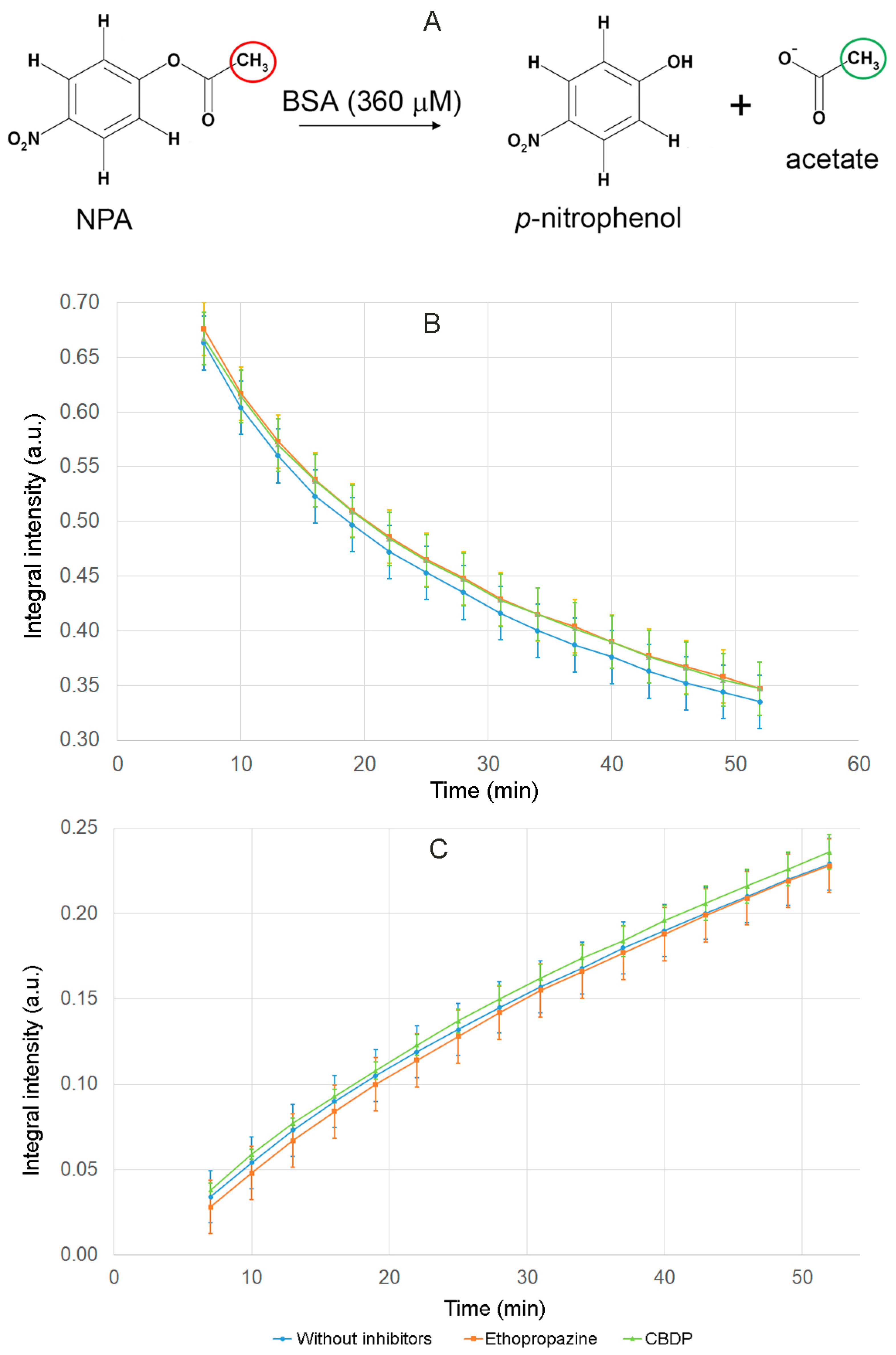 Ijms 24 10383 g005 Ijms 24 10383 g005