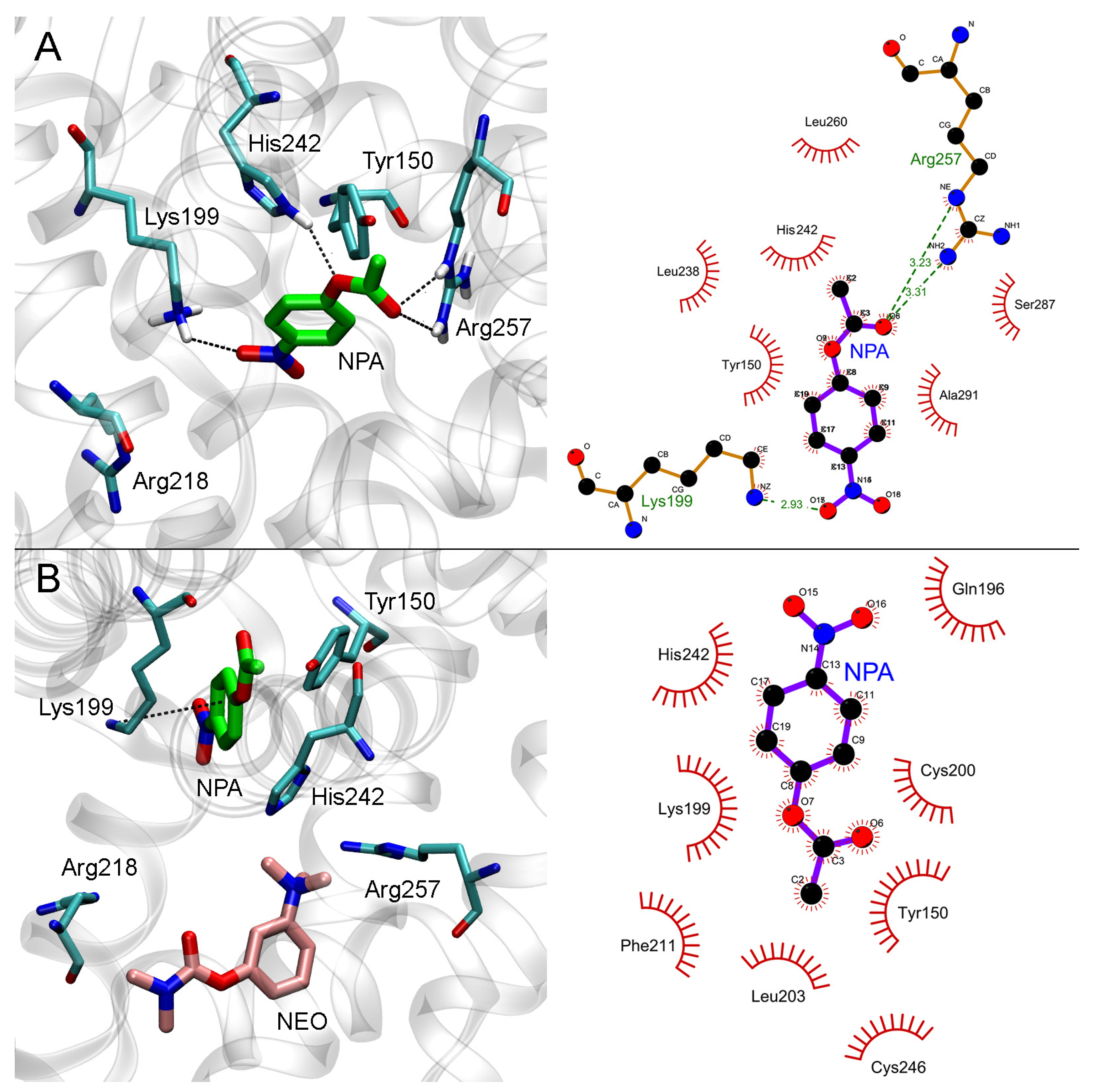Ijms 24 10383 g007 Ijms 24 10383 g007