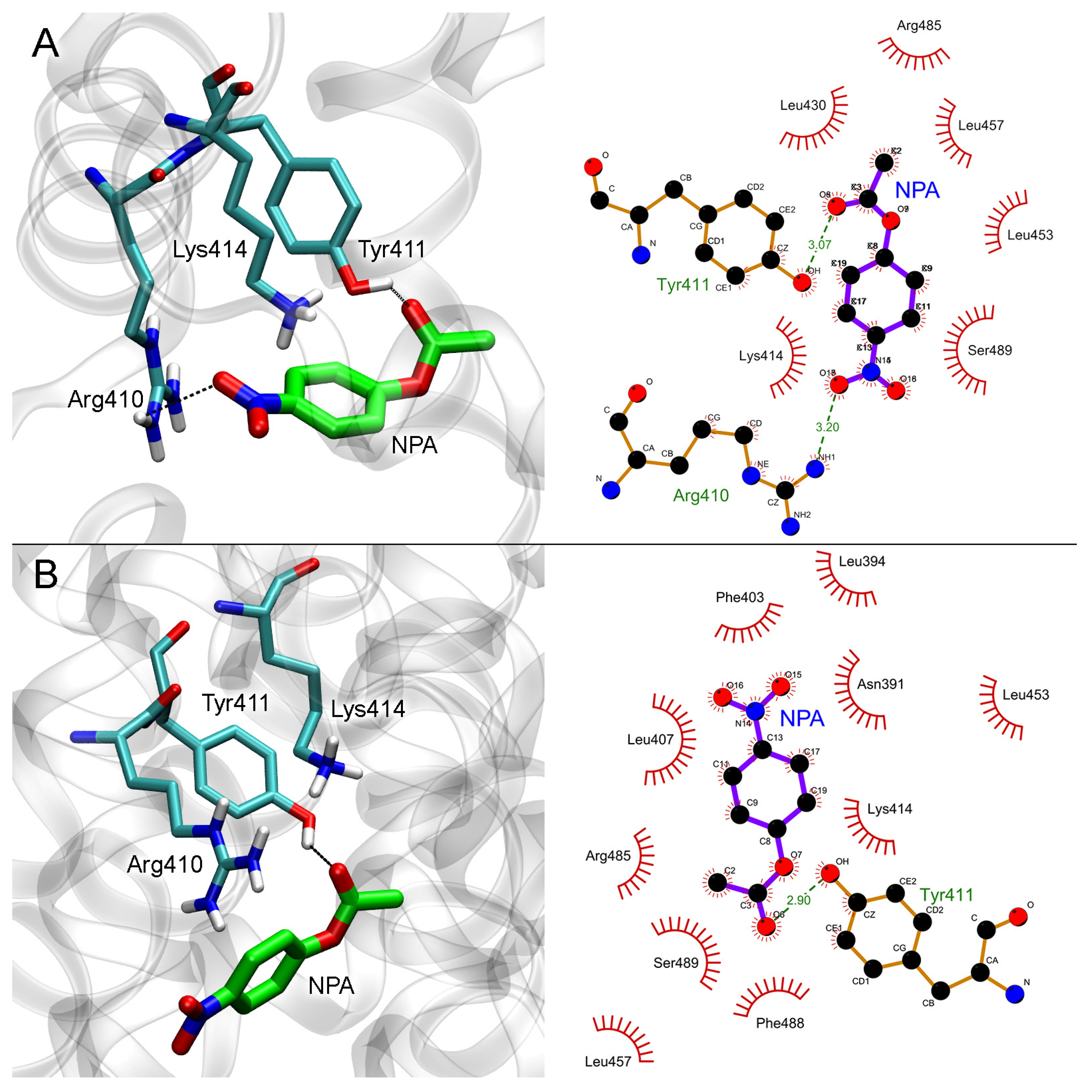 Ijms 24 10383 g008 Ijms 24 10383 g008