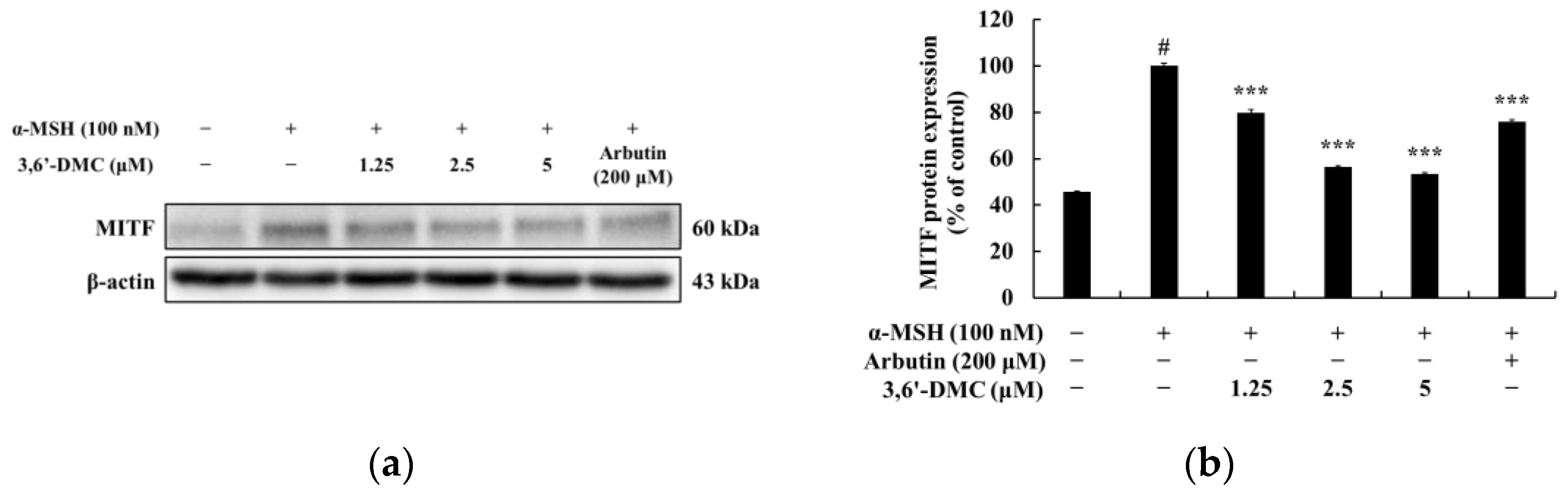Ijms 24 10393 g004 550