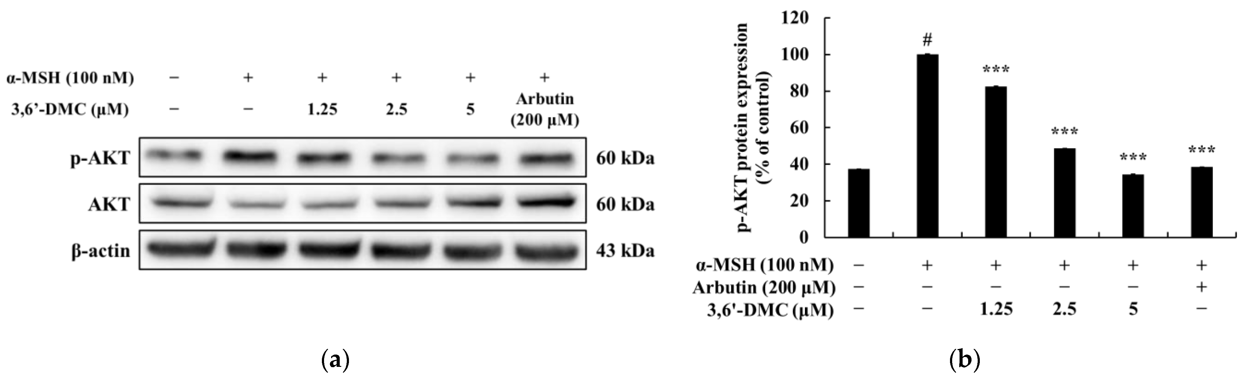 Ijms 24 10393 g006 550