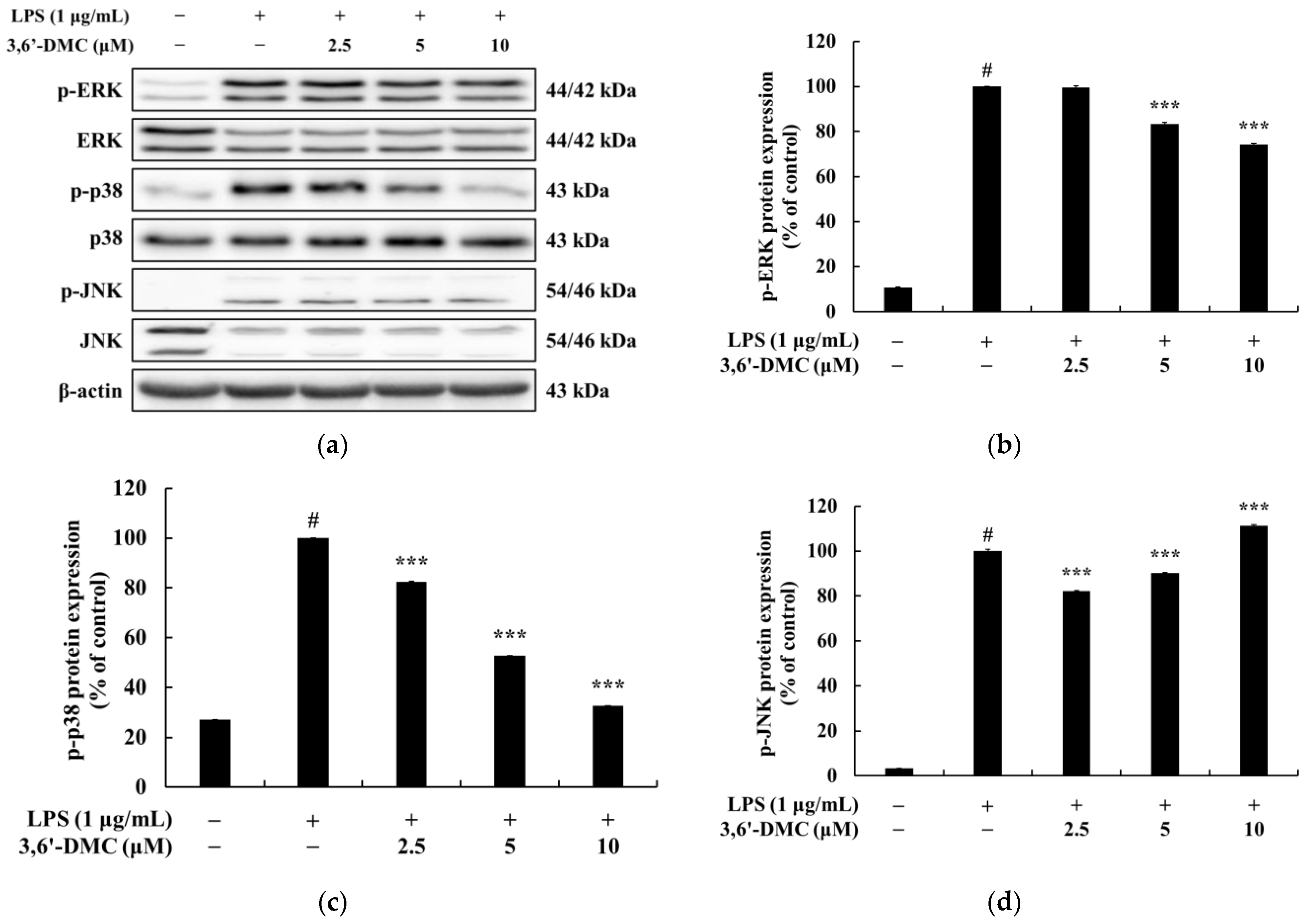 Ijms 24 10393 g012 550