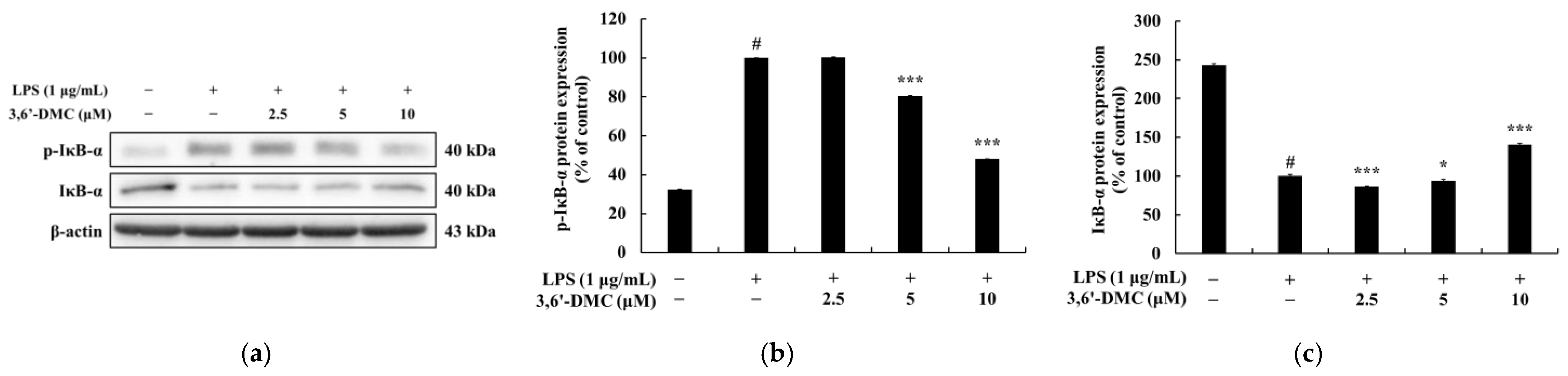 Ijms 24 10393 g013 550