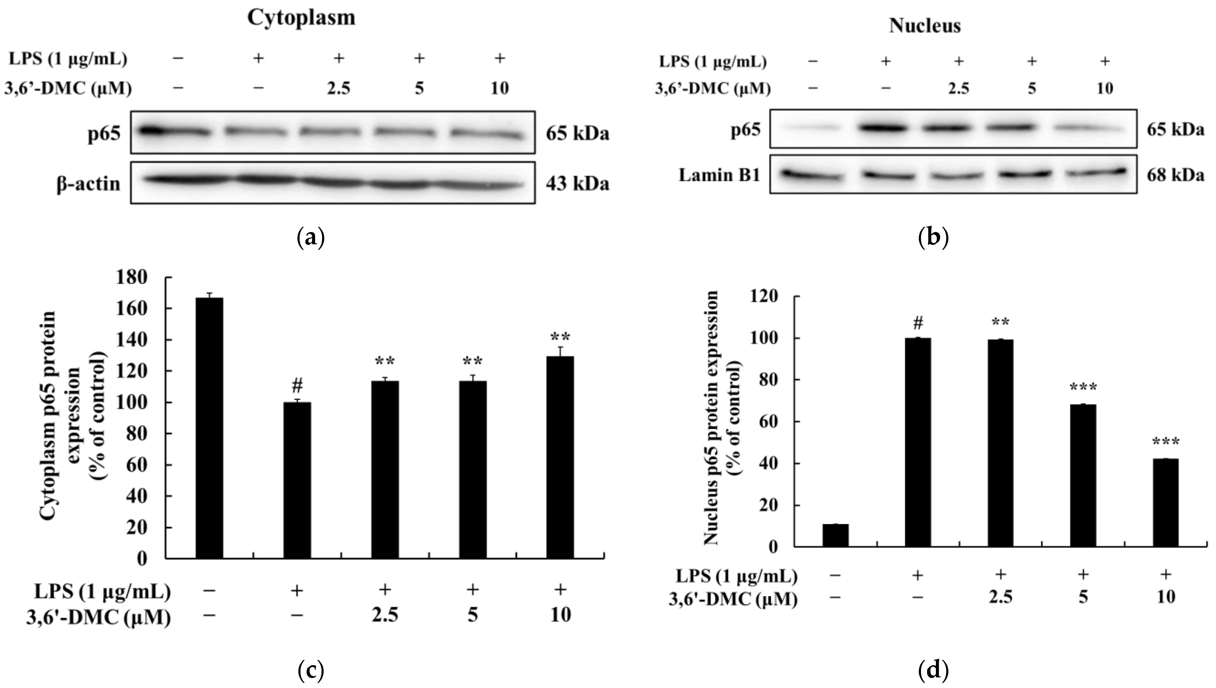 Ijms 24 10393 g014 550