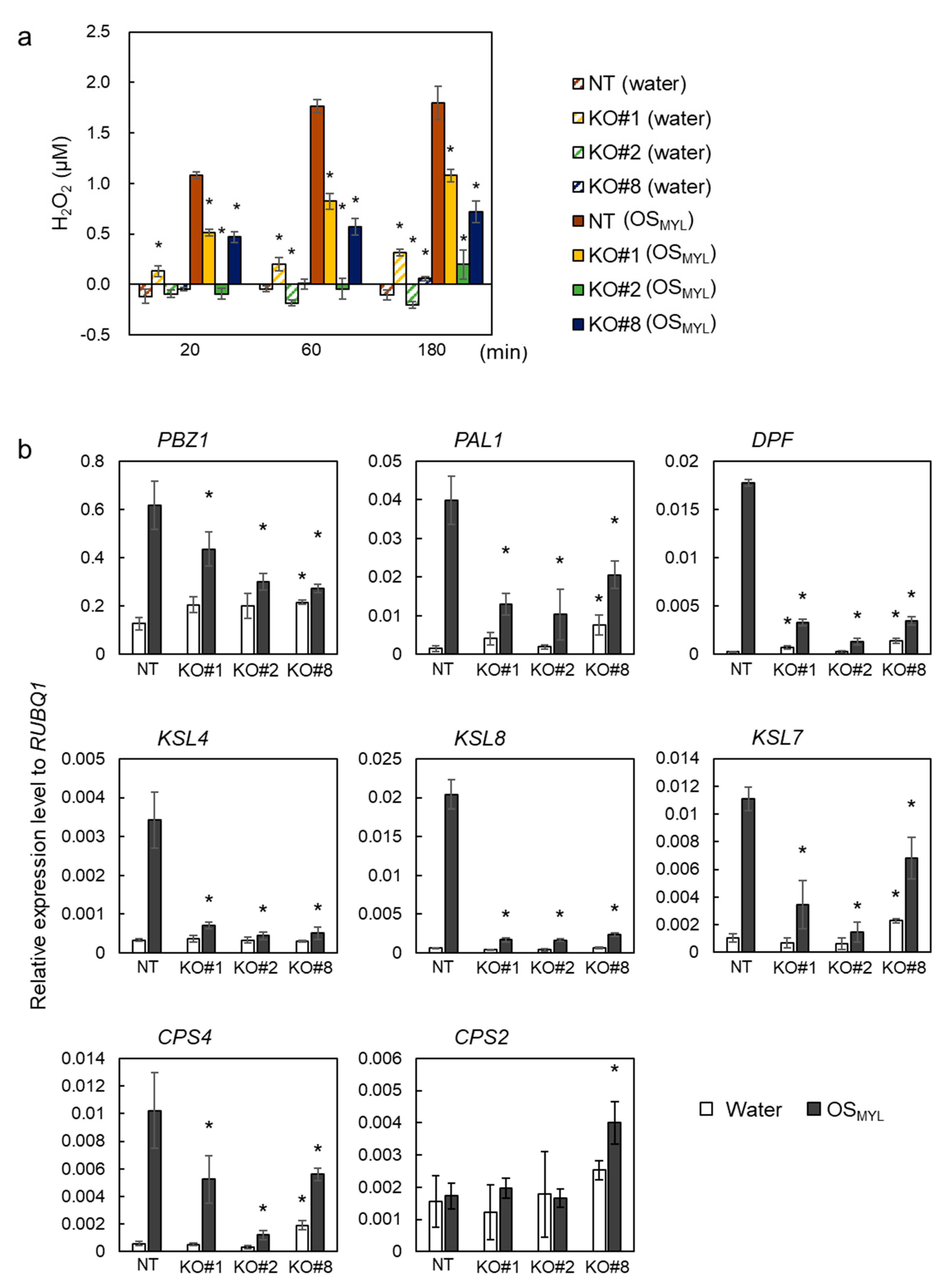 Ijms 24 10395 g001 Ijms 24 10395 g001