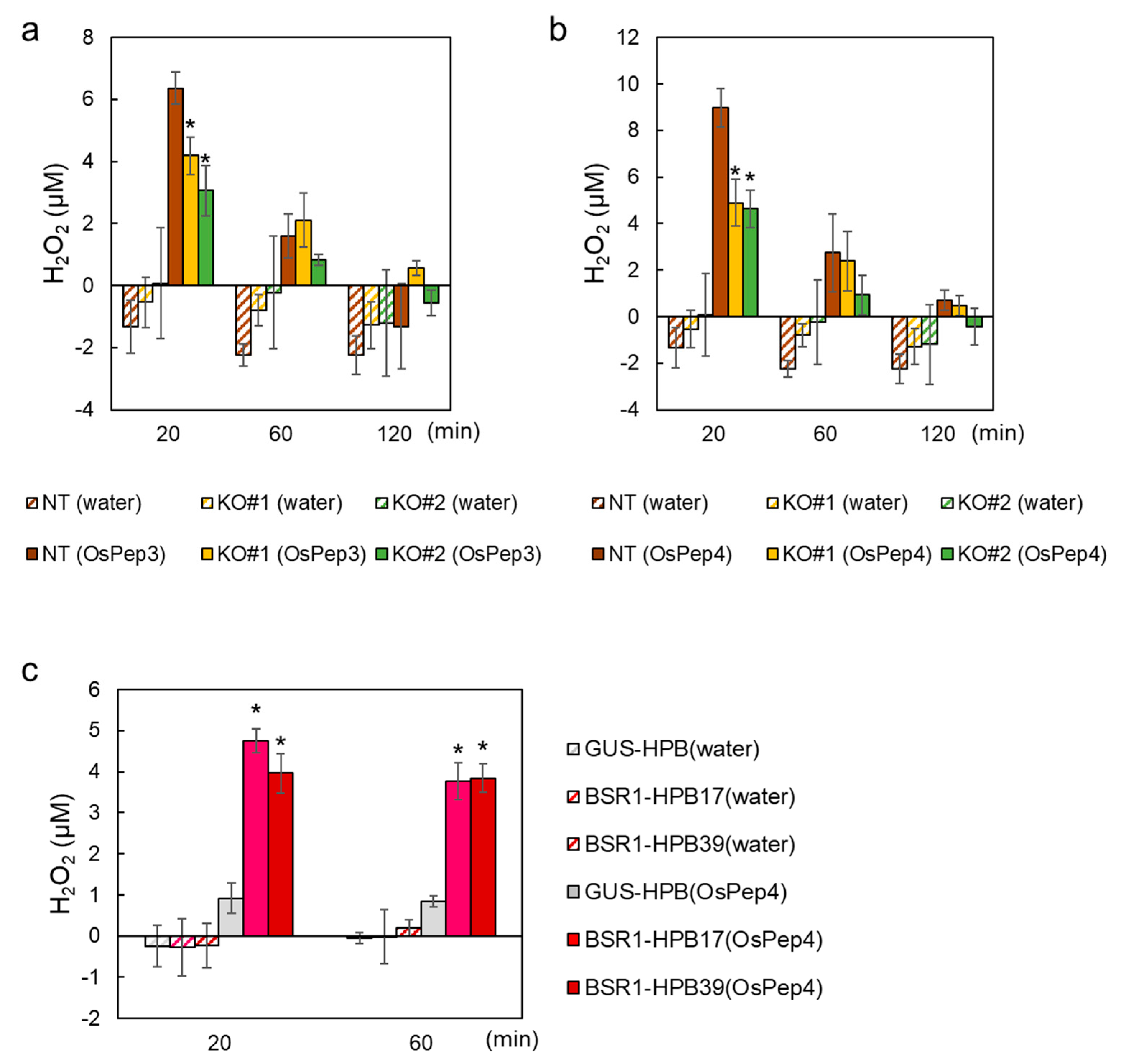 Ijms 24 10395 g003 Ijms 24 10395 g003