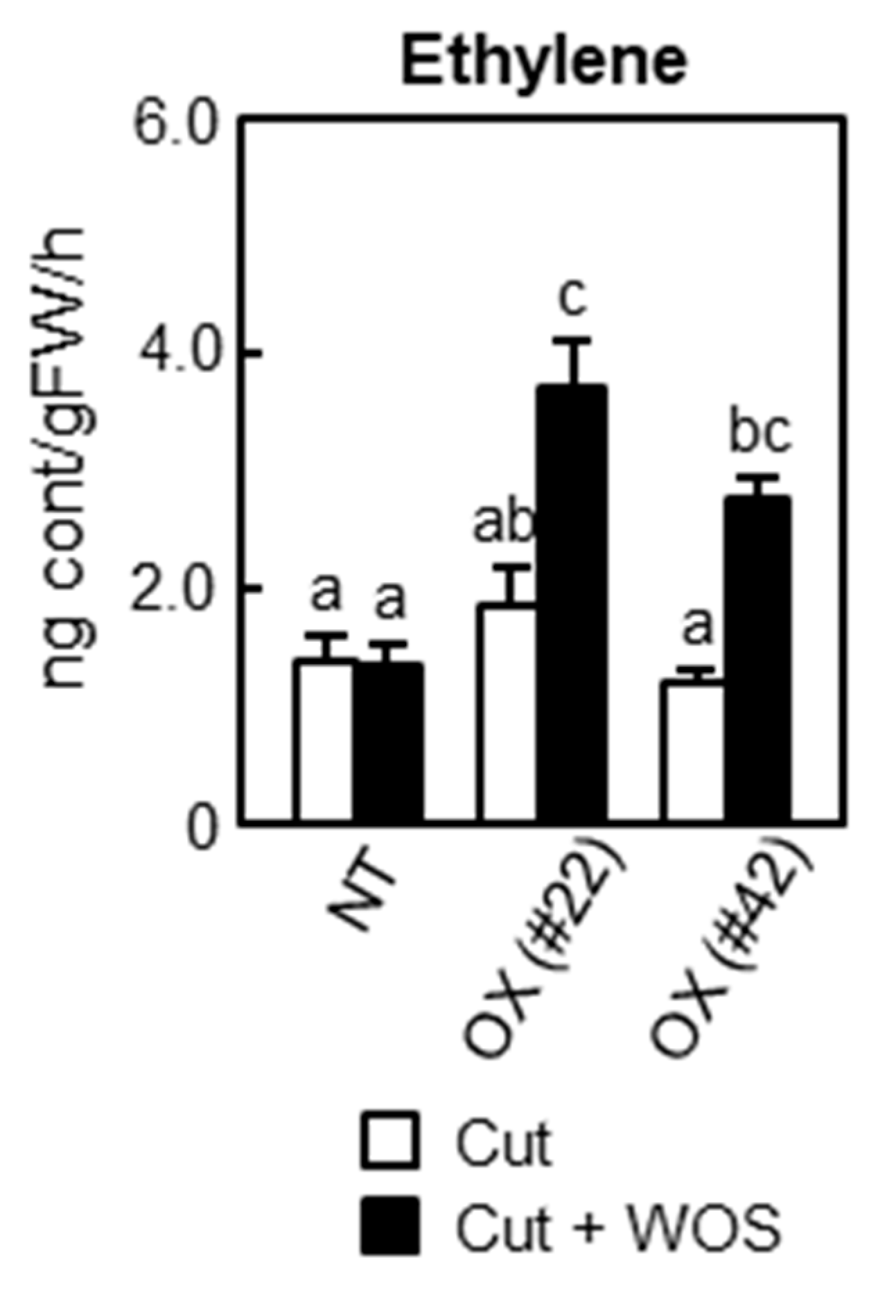 Ijms 24 10395 g006 Ijms 24 10395 g006