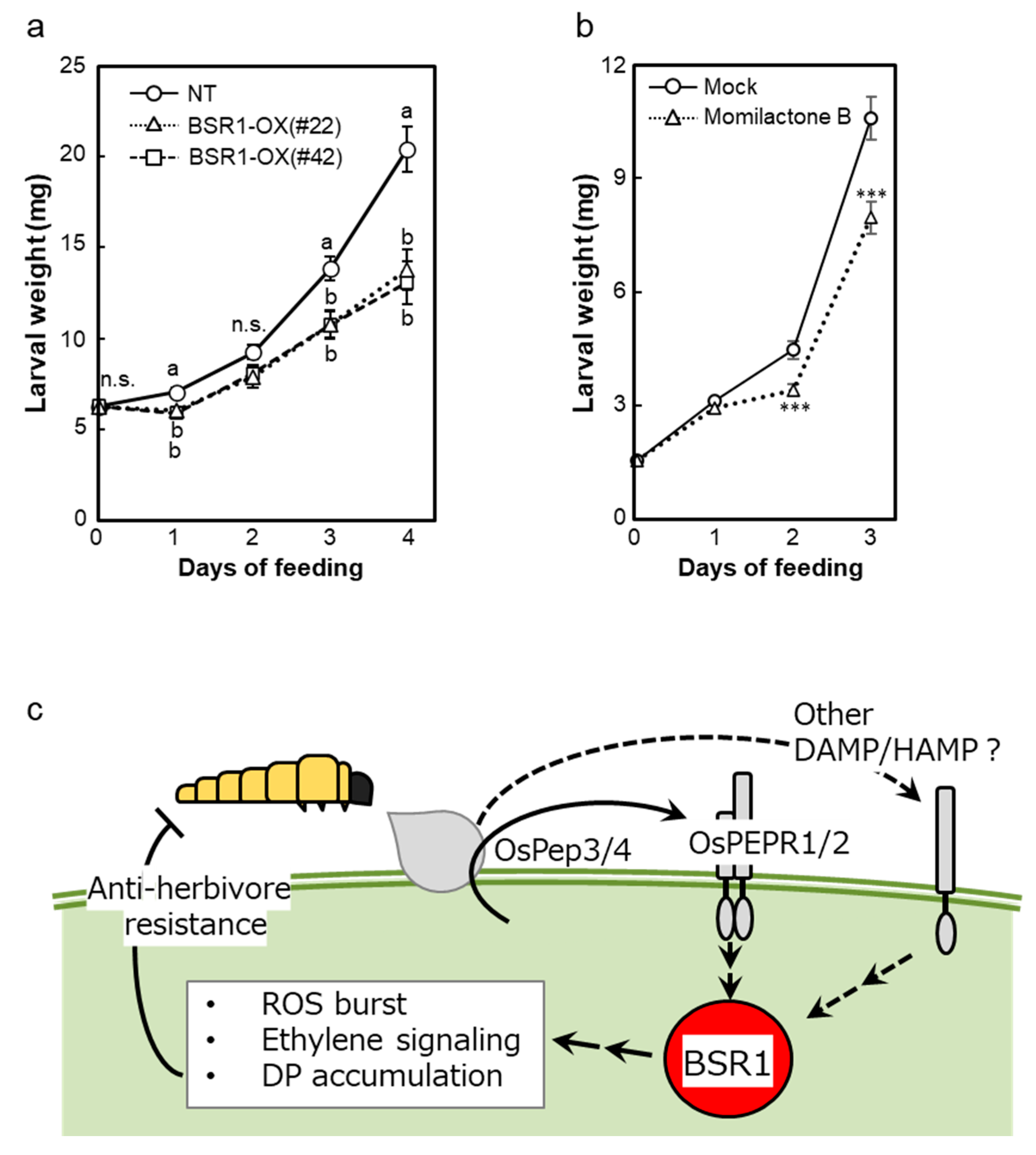 Ijms 24 10395 g007 Ijms 24 10395 g007