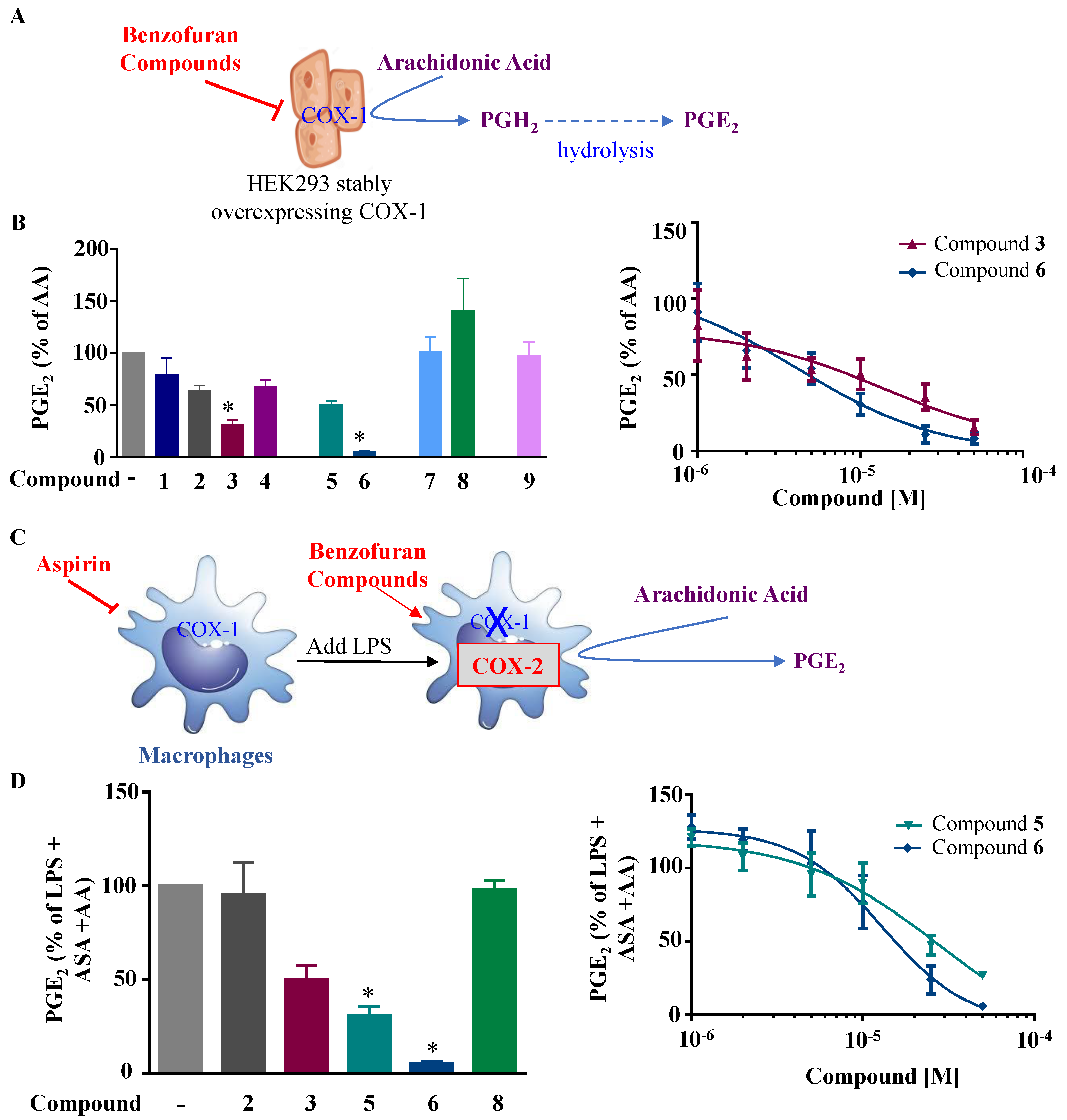 Ijms 24 10399 g003 Ijms 24 10399 g003