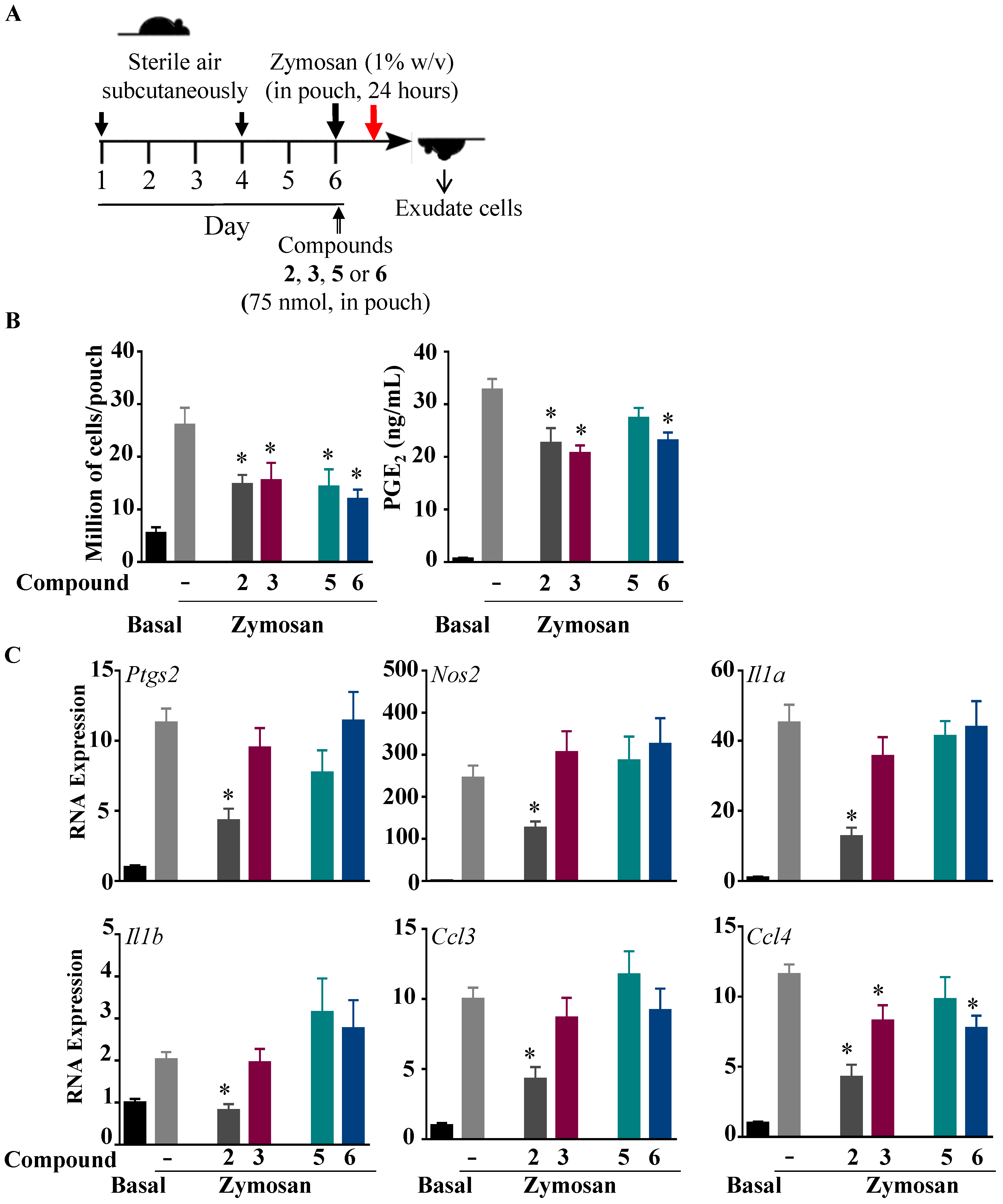 Ijms 24 10399 g005 Ijms 24 10399 g005