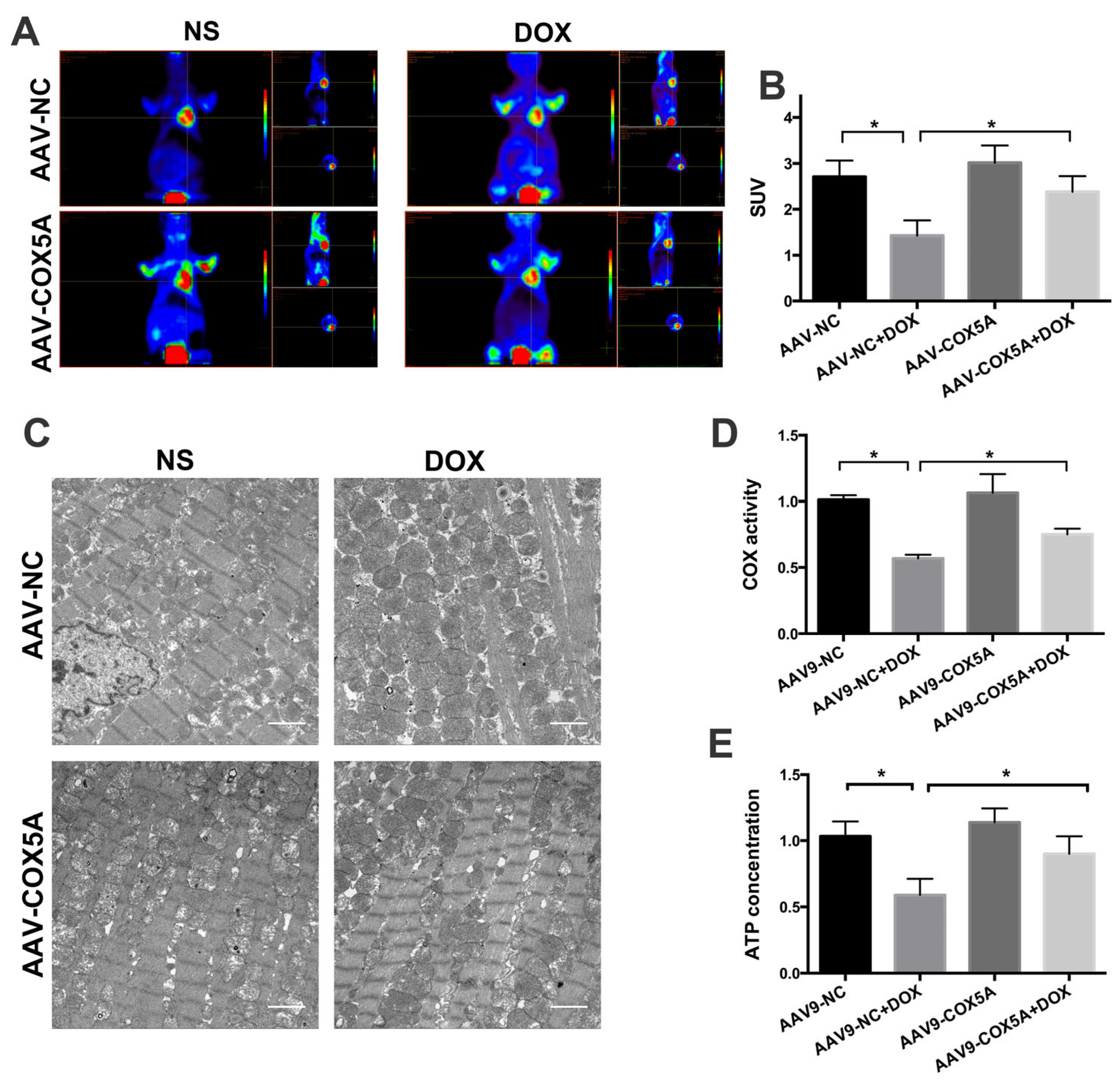Ijms 24 10400 g005 Ijms 24 10400 g005