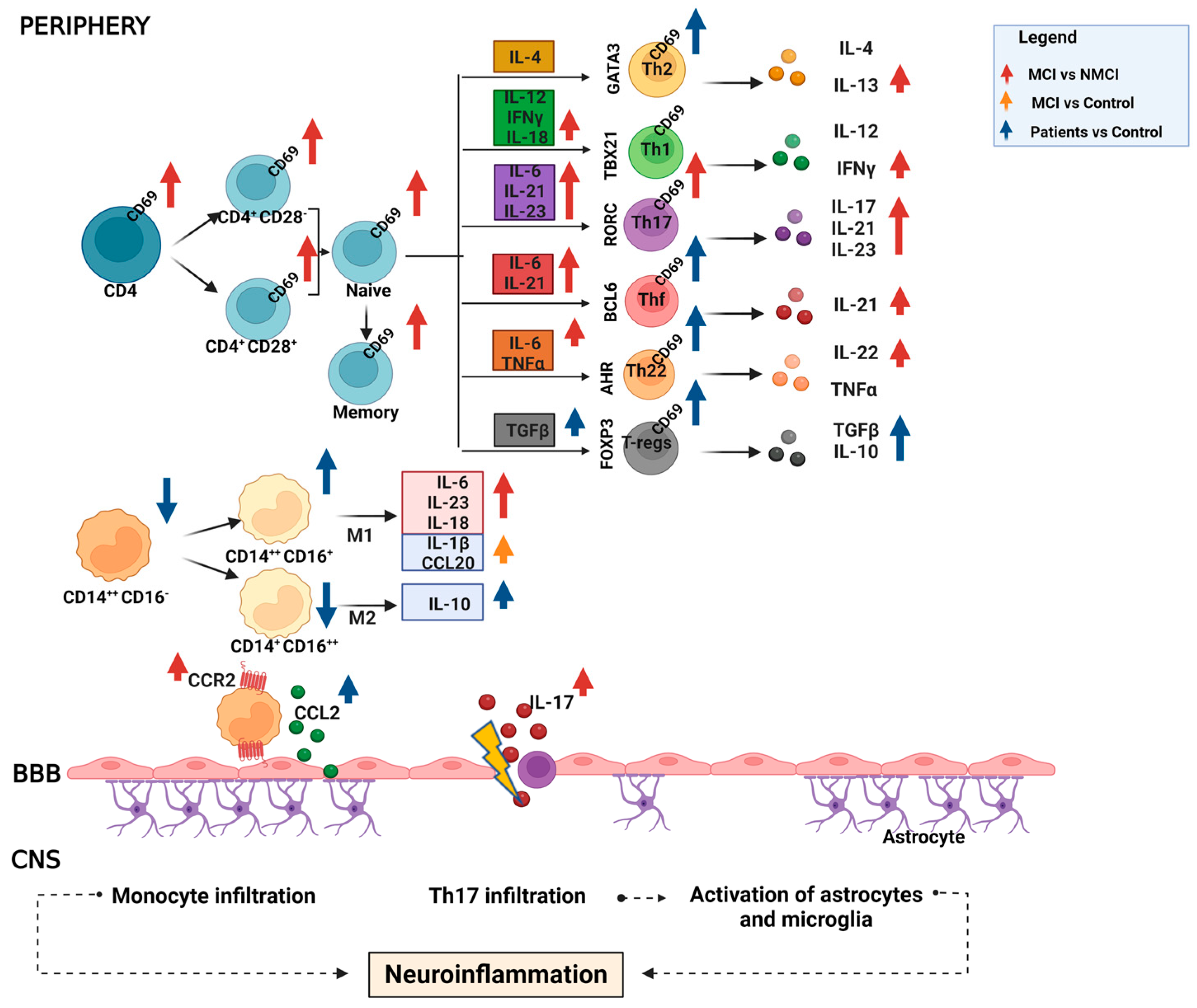 Ijms 24 10407 g006 Ijms 24 10407 g006