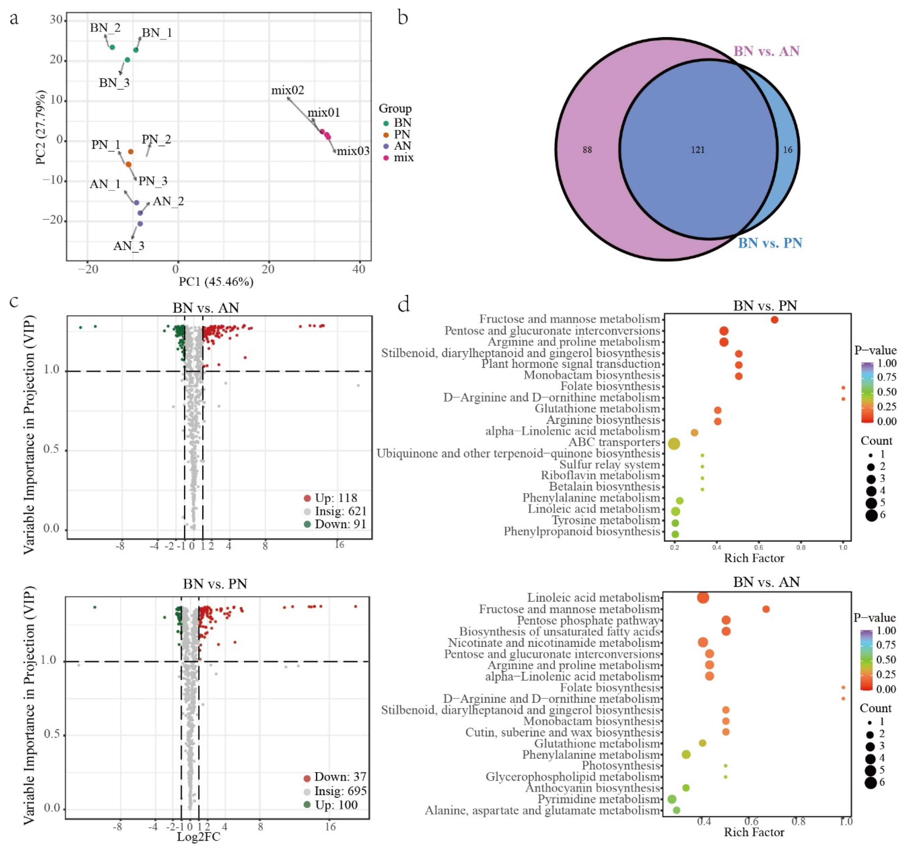 Ijms 24 10410 g006 Ijms 24 10410 g006