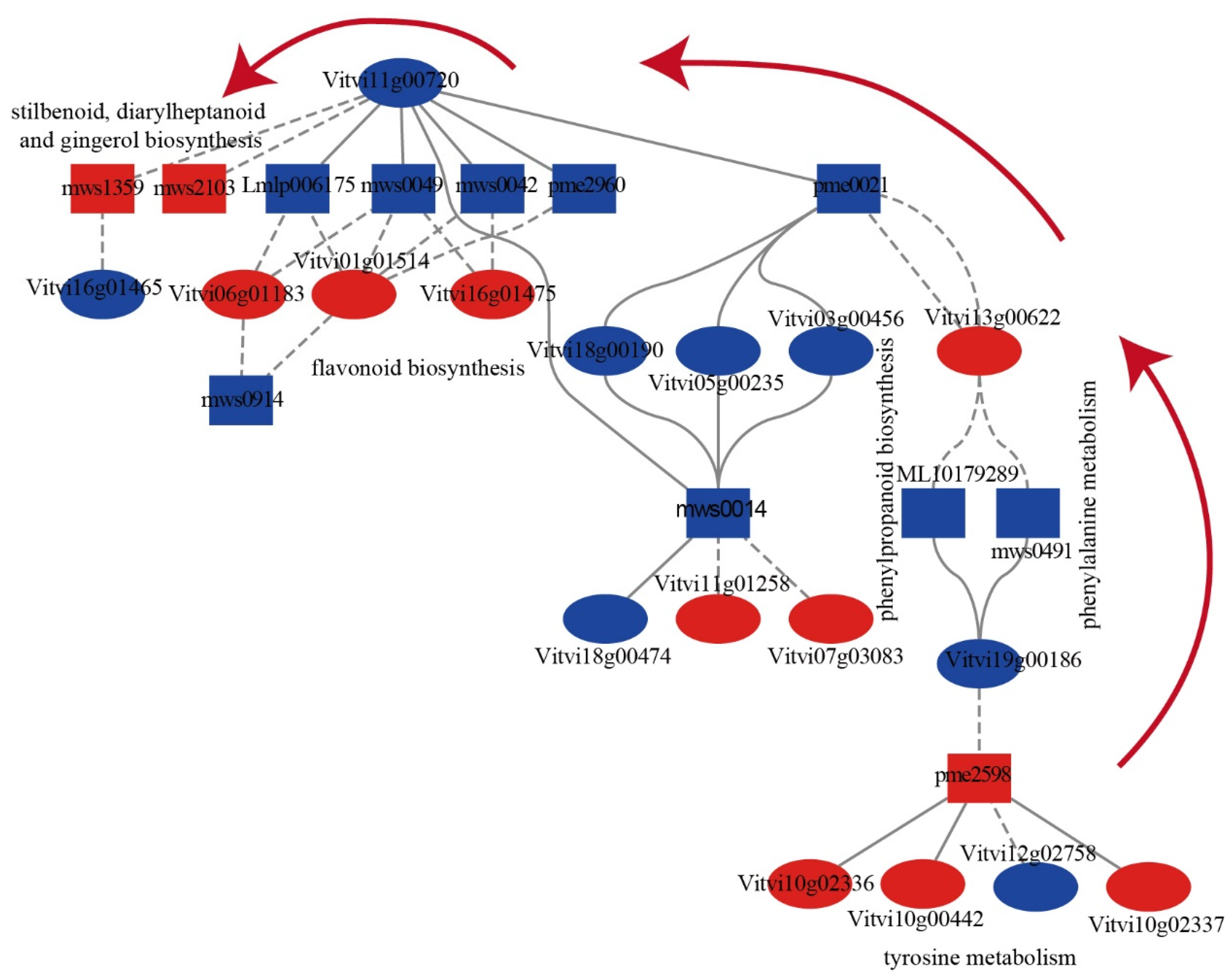 Ijms 24 10410 g007 Ijms 24 10410 g007