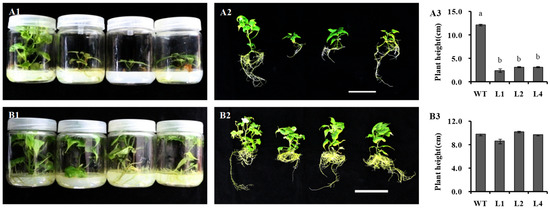 tanaka Dissociating effects of cocaine and d-amphetamine on