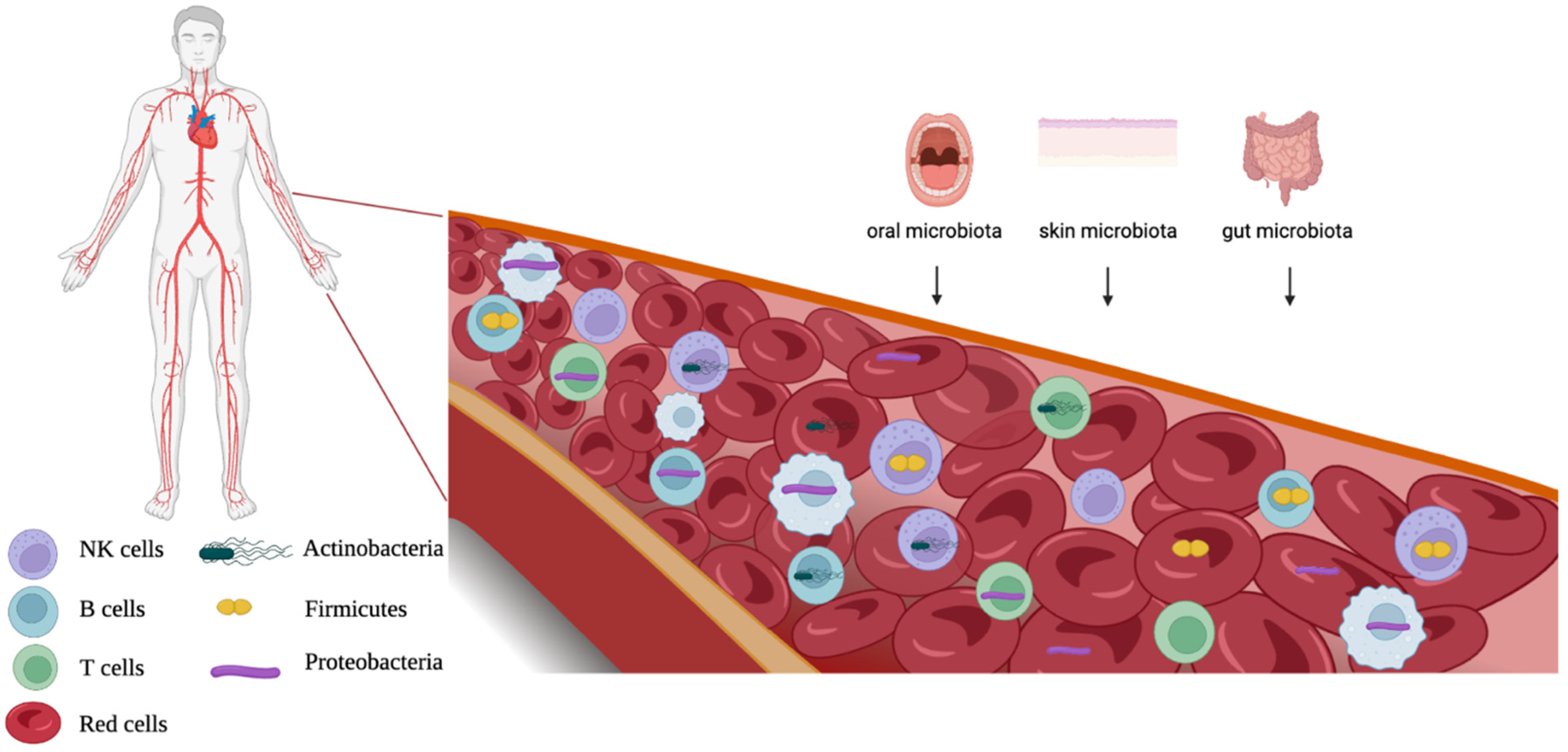 Ijms 24 10422 g001 Ijms 24 10422 g001