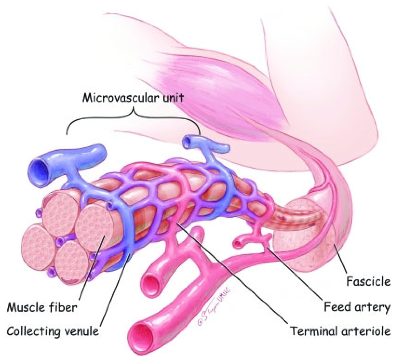 Ijms 24 10425 g002 Ijms 24 10425 g002