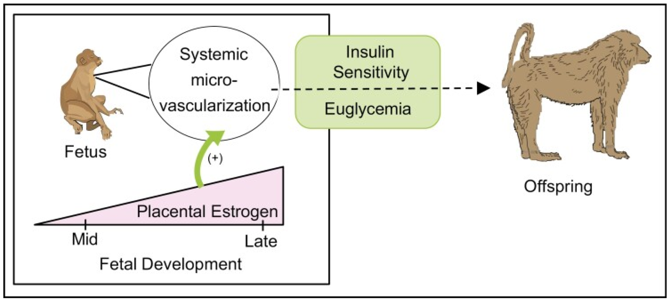 Ijms 24 10425 g012 Ijms 24 10425 g012