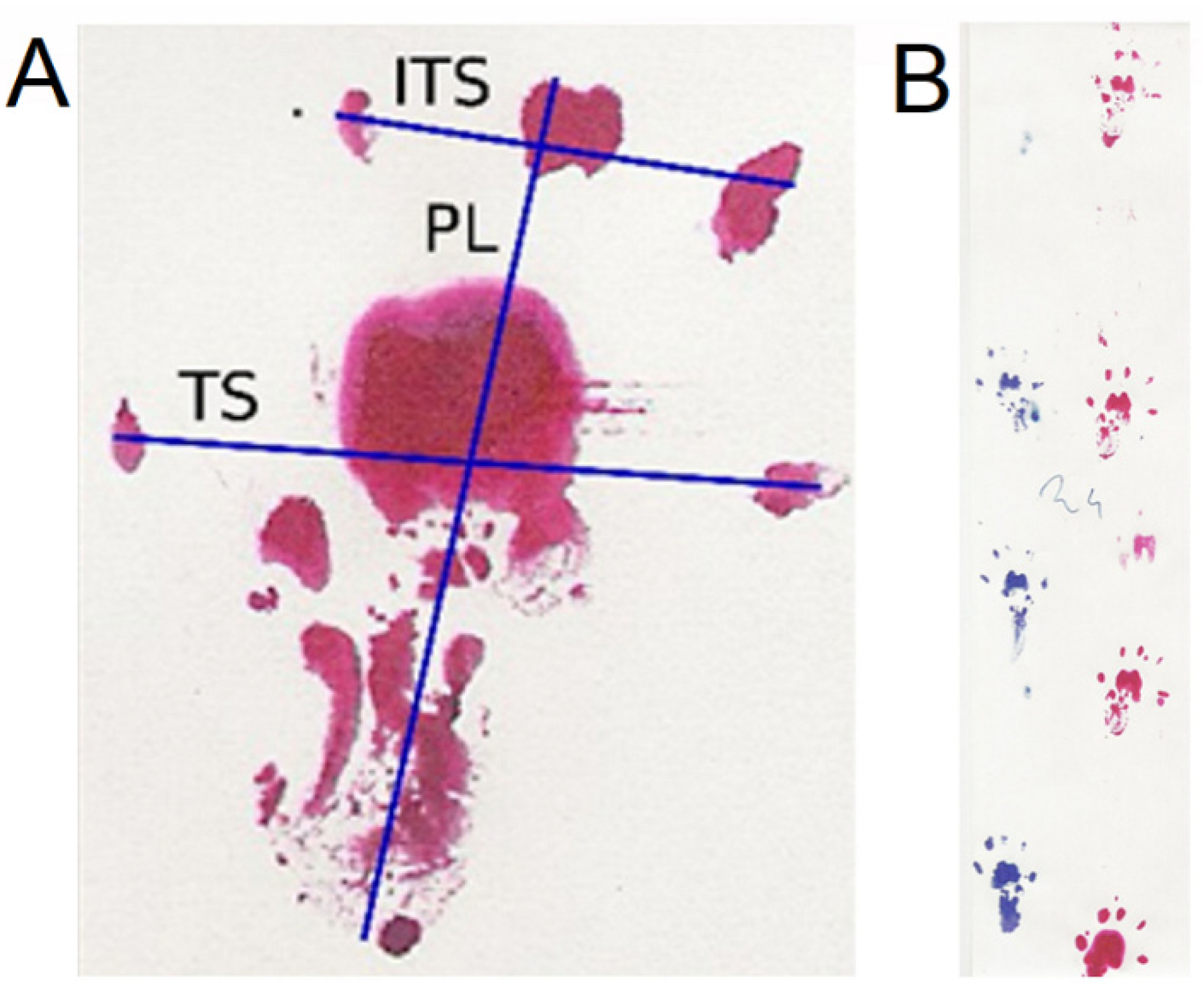 Ijms 24 10428 g006 Ijms 24 10428 g006
