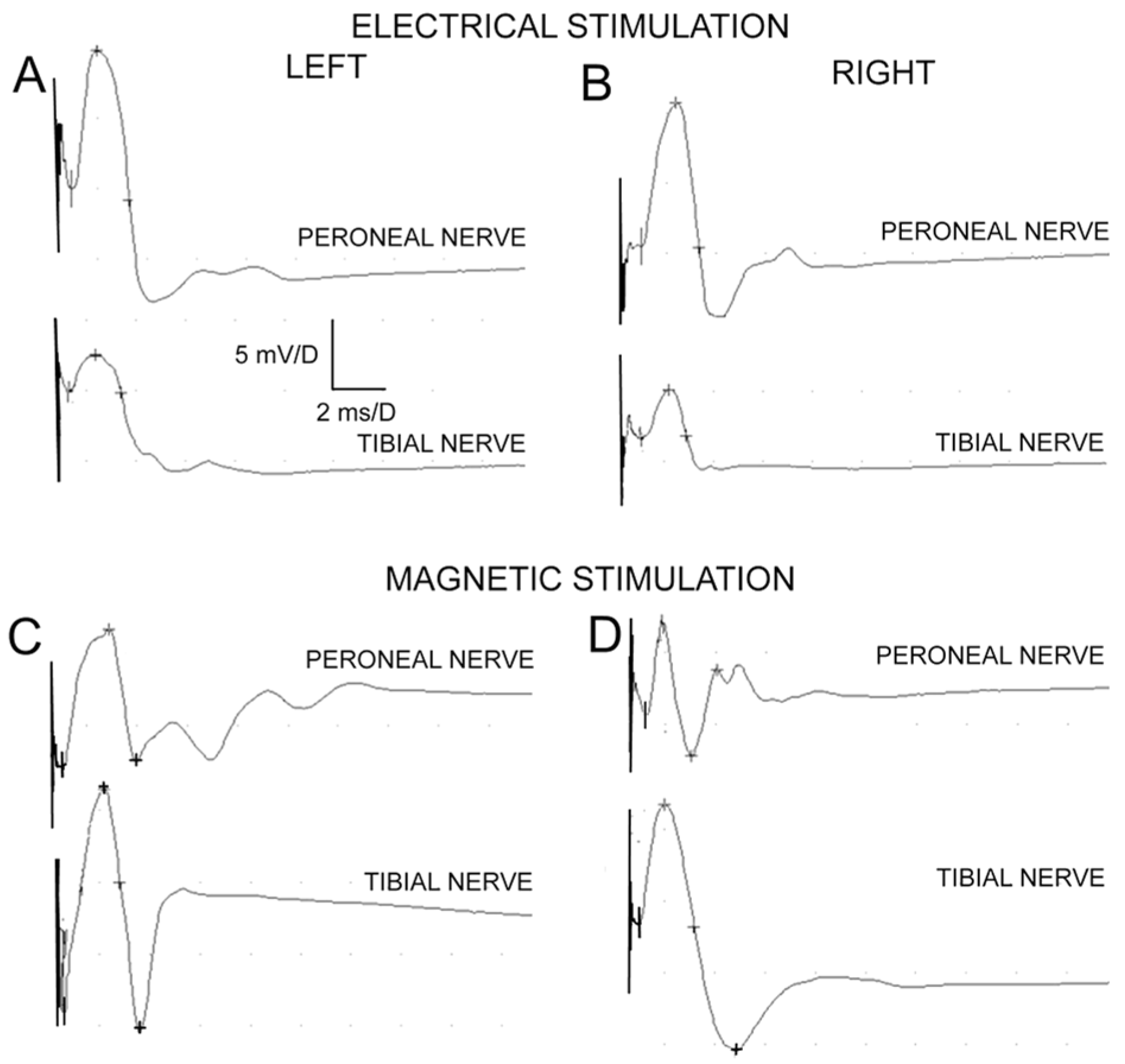 Ijms 24 10428 g007 Ijms 24 10428 g007