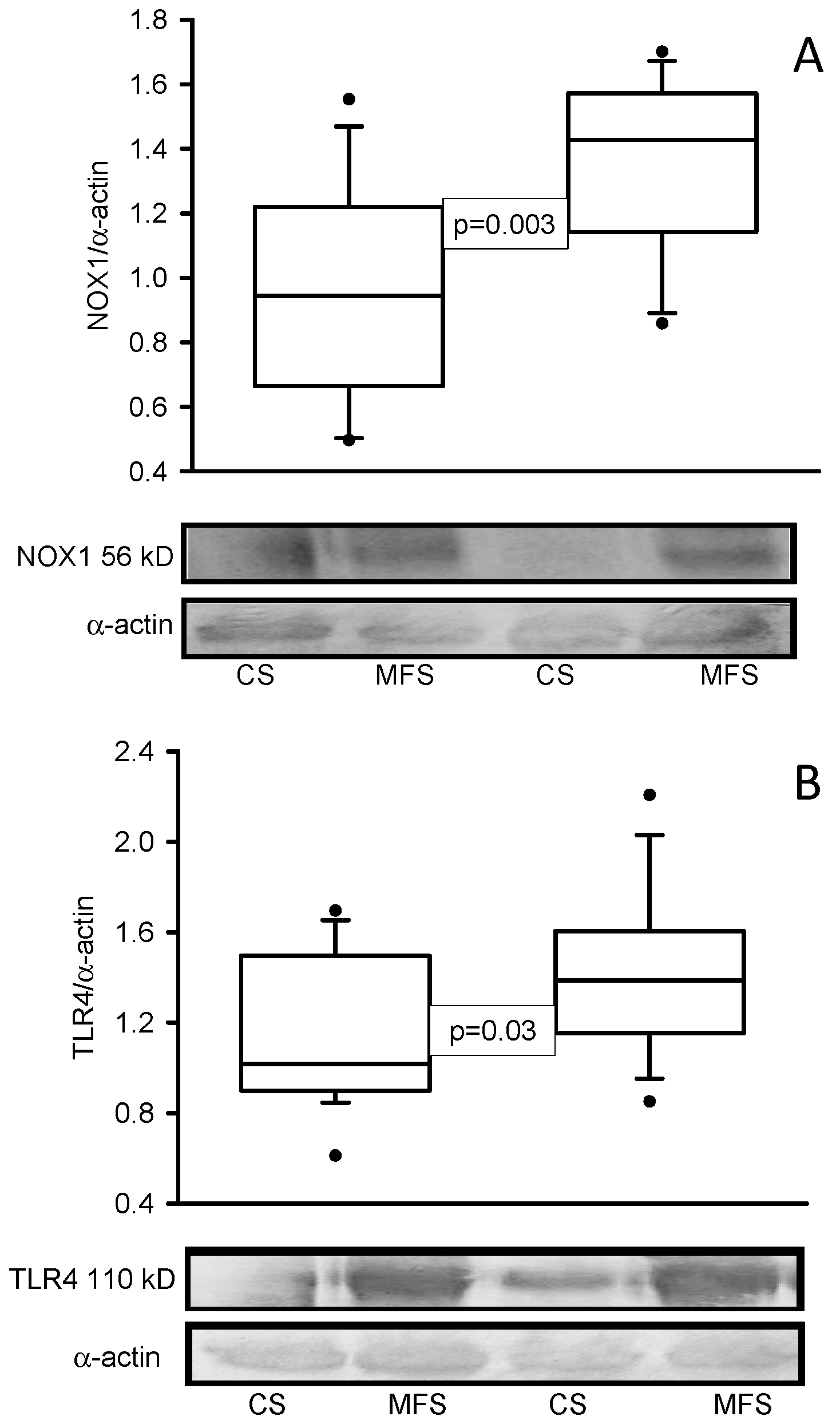 Ijms 24 10429 g002 Ijms 24 10429 g002
