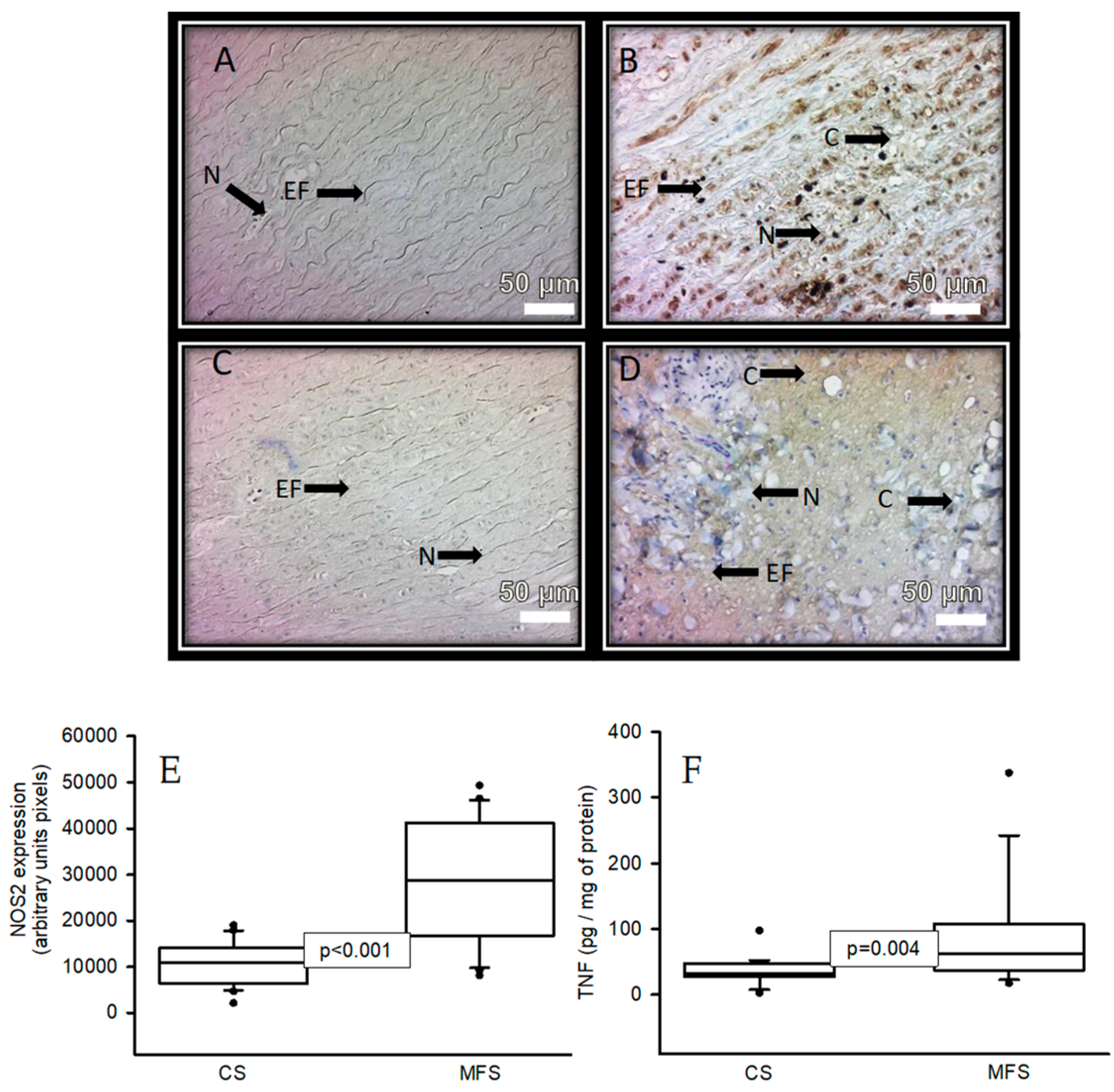 Ijms 24 10429 g004 Ijms 24 10429 g004