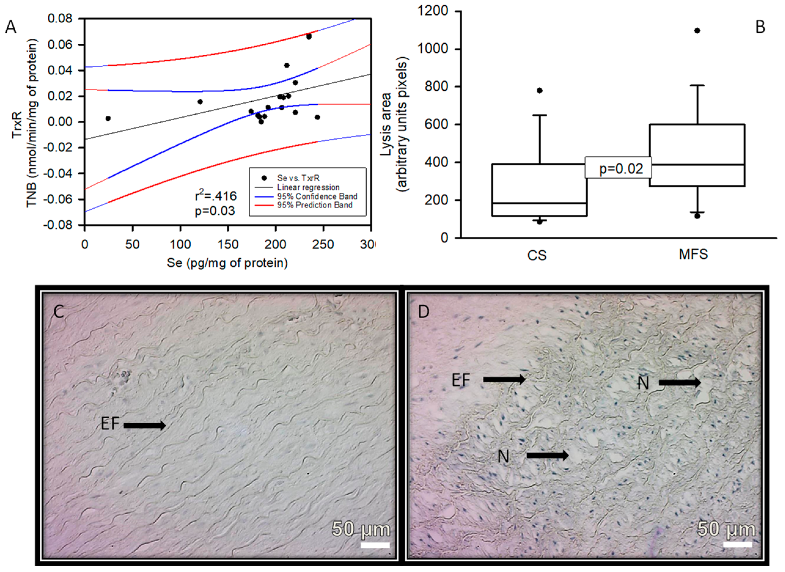 Ijms 24 10429 g005 Ijms 24 10429 g005