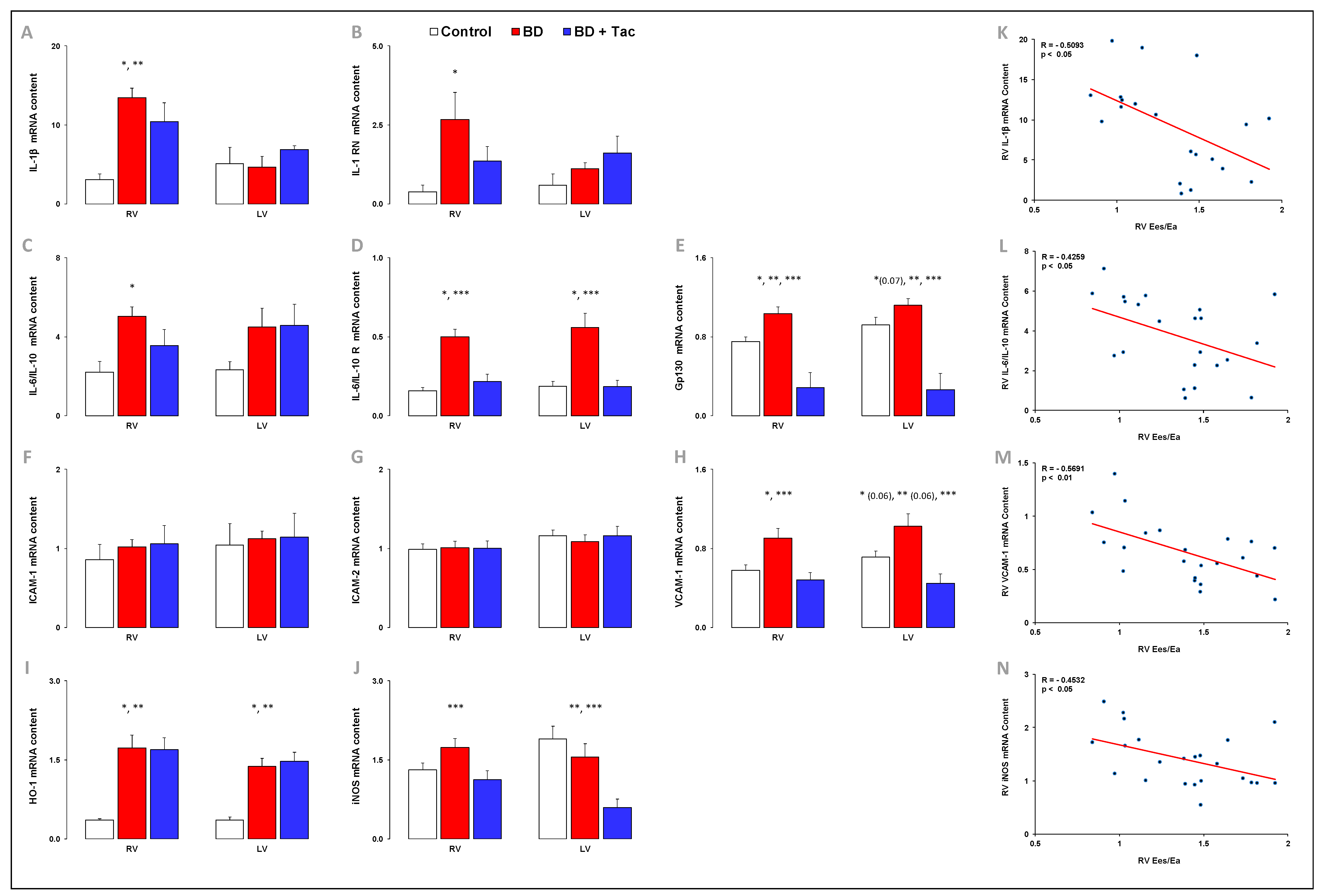 Ijms 24 10439 g005 Ijms 24 10439 g005