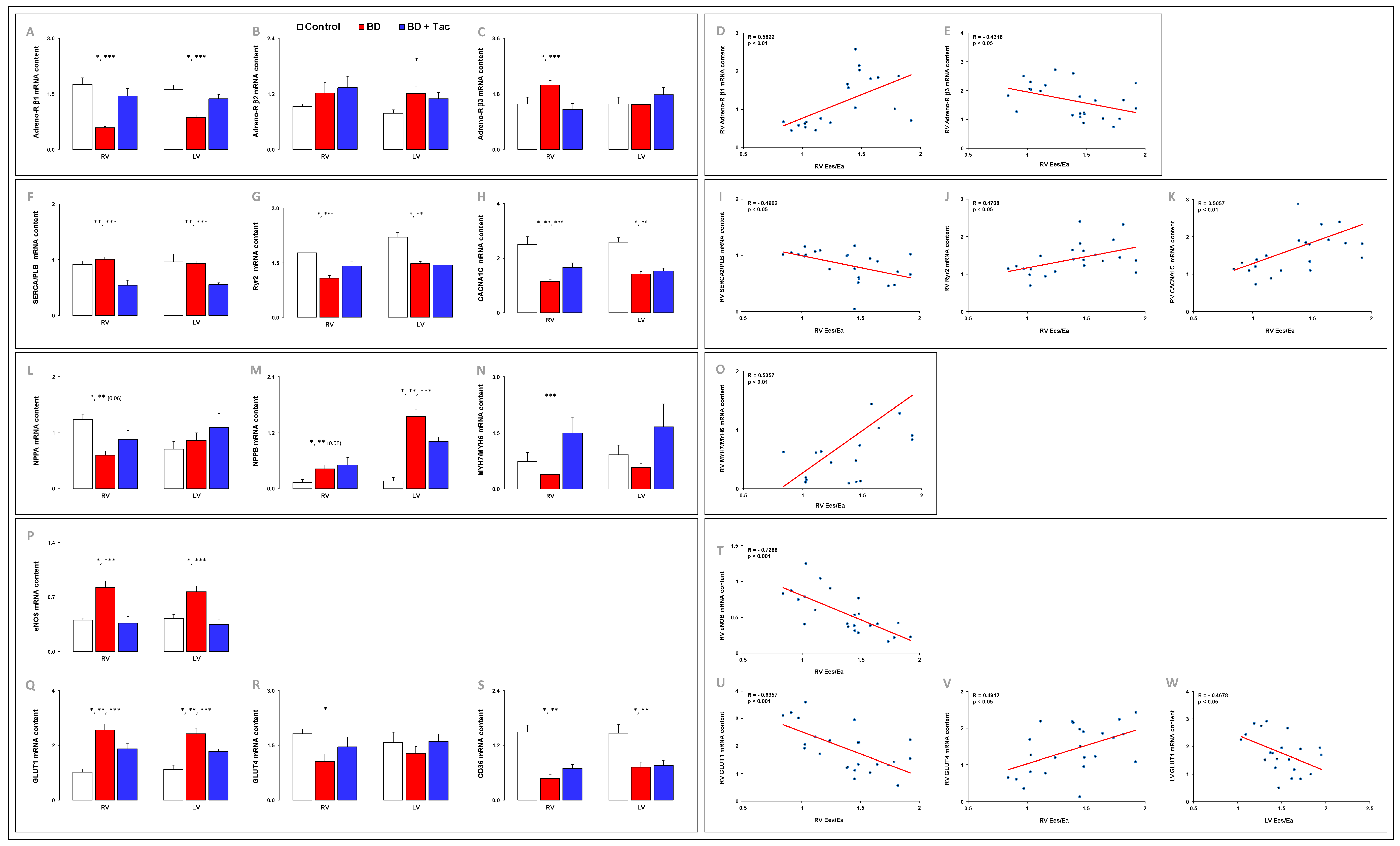 Ijms 24 10439 g007 Ijms 24 10439 g007