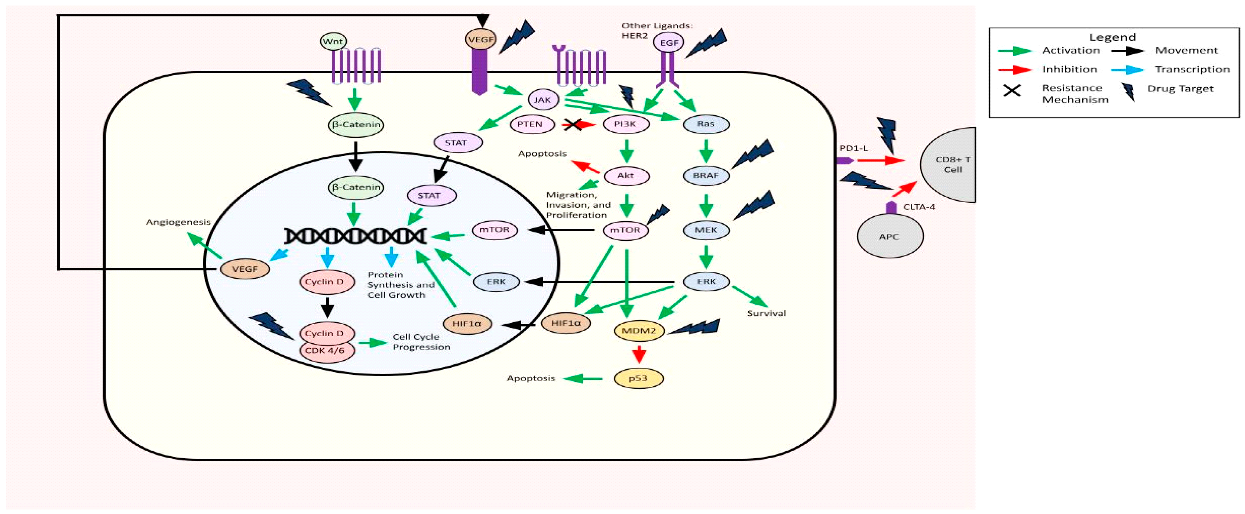 Ijms 24 10456 g002 Ijms 24 10456 g002