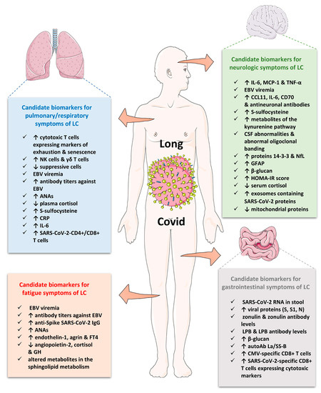 高い信頼 厚い信頼 in Biomarkers and Findings Laboratory Long We Do What COVID: パソコンデスク