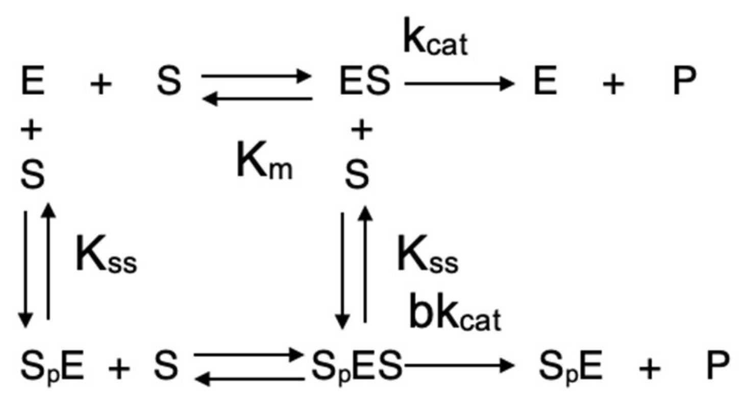 Ijms 24 10472 sch002