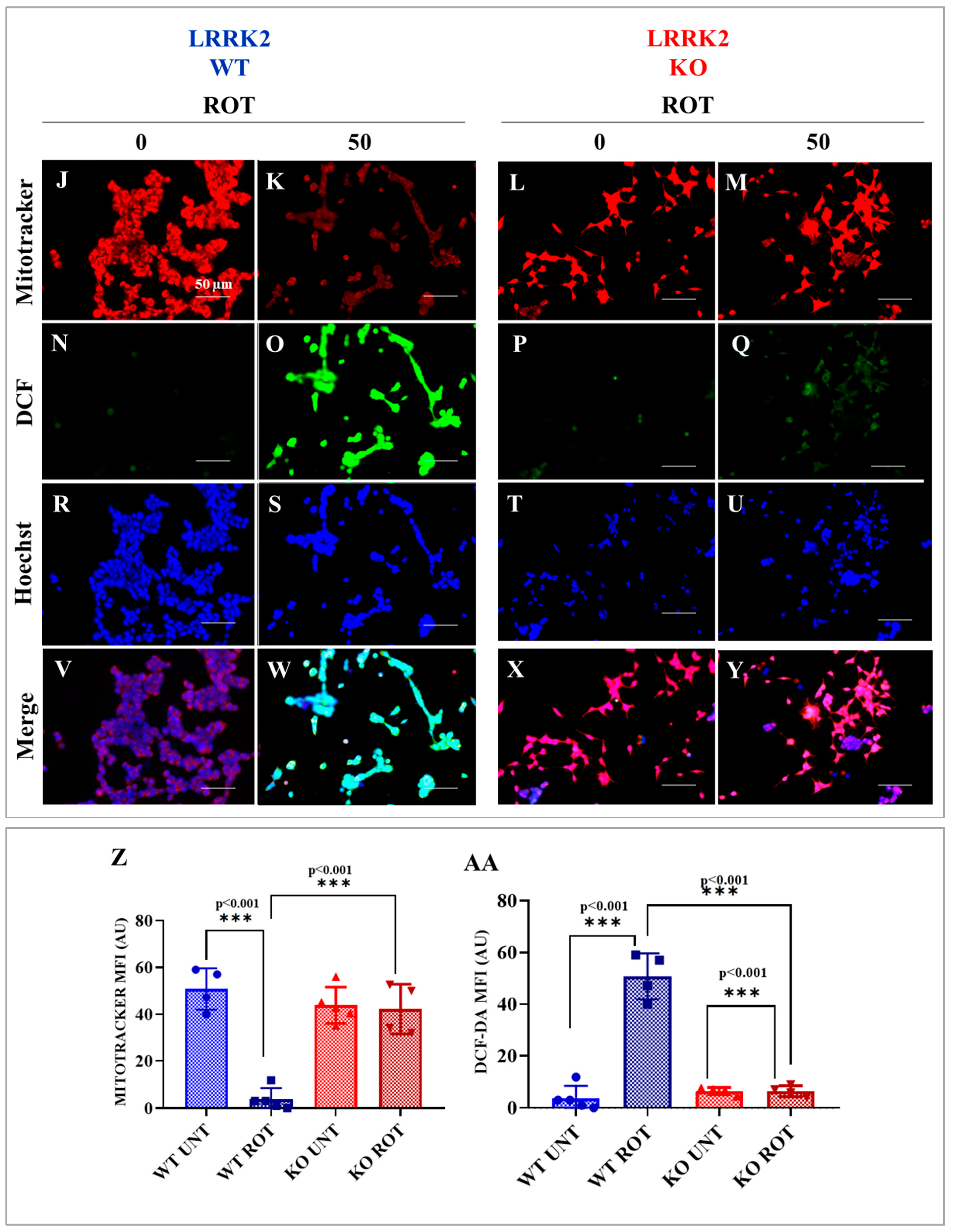 Ijms 24 10474 g002b Ijms 24 10474 g002b