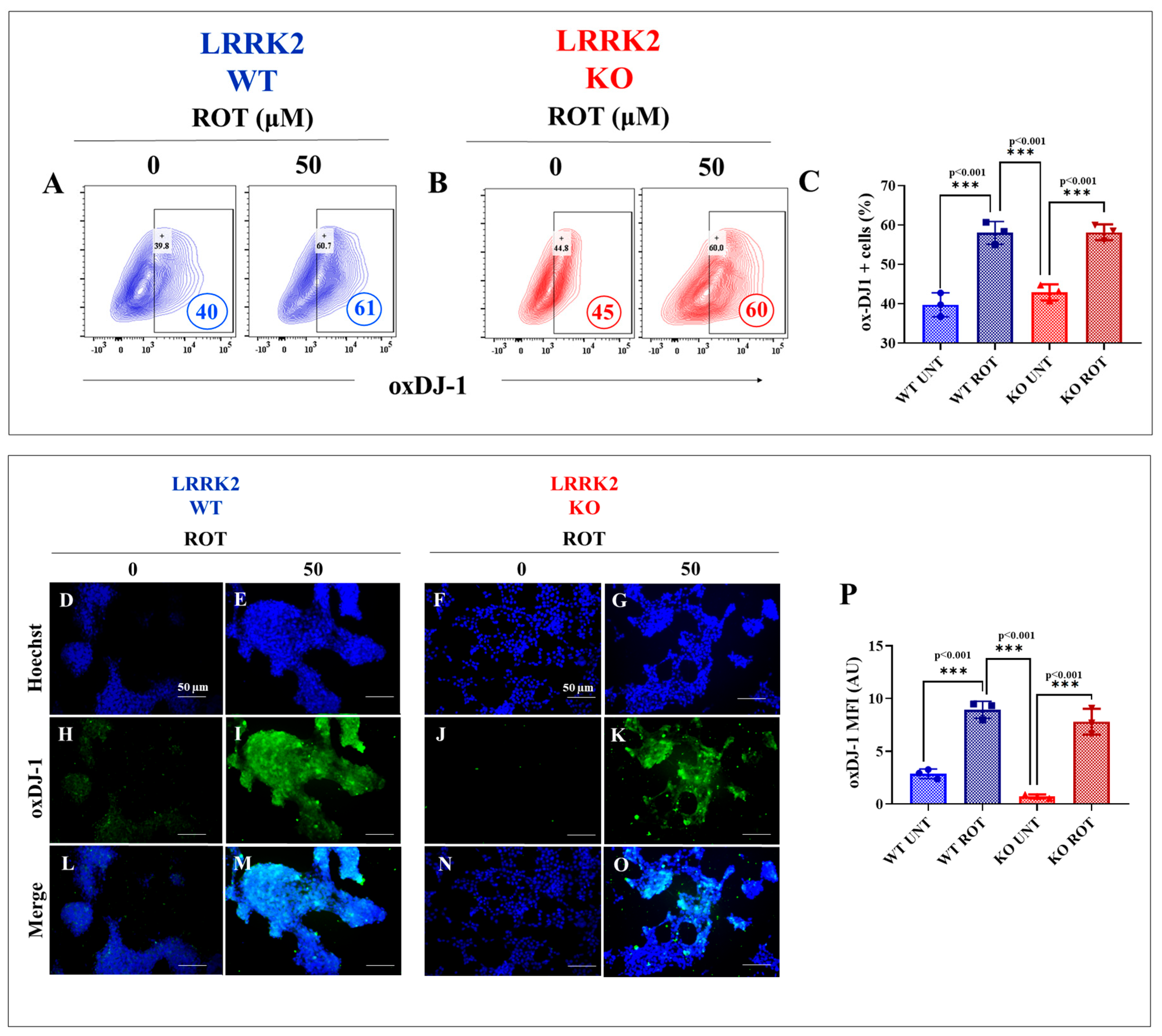 Ijms 24 10474 g003 Ijms 24 10474 g003
