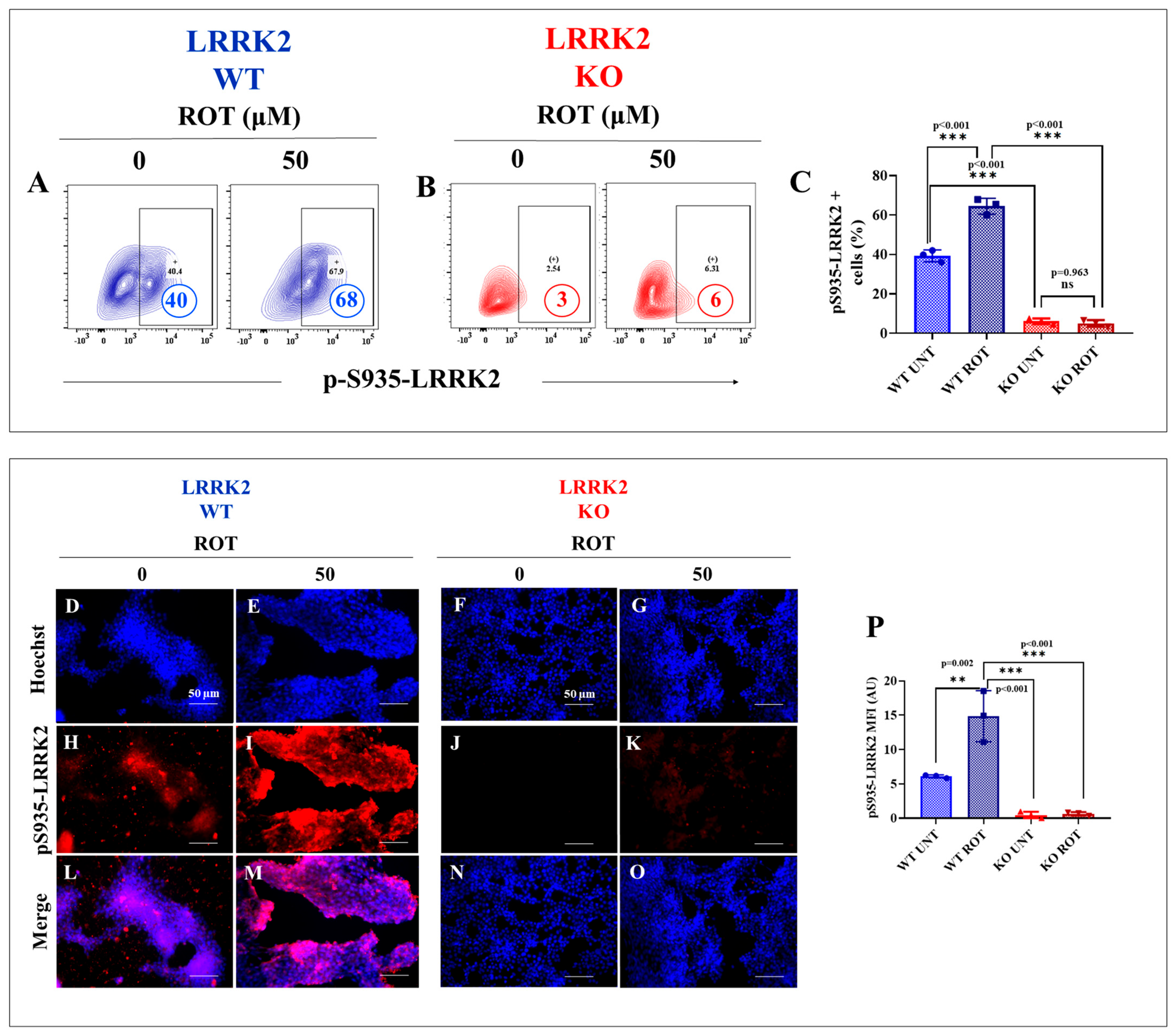 Ijms 24 10474 g004 Ijms 24 10474 g004