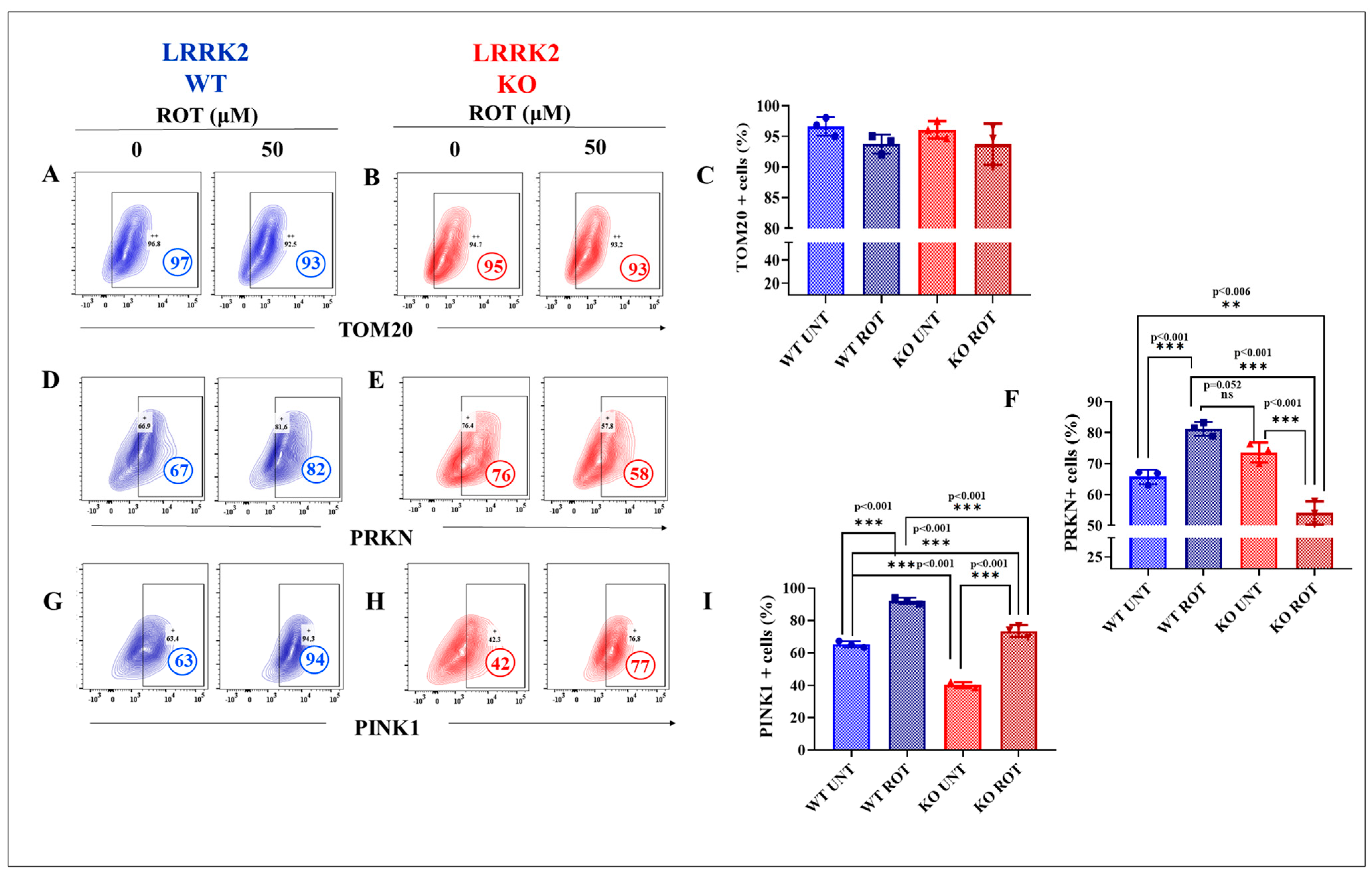 Ijms 24 10474 g005a Ijms 24 10474 g005a