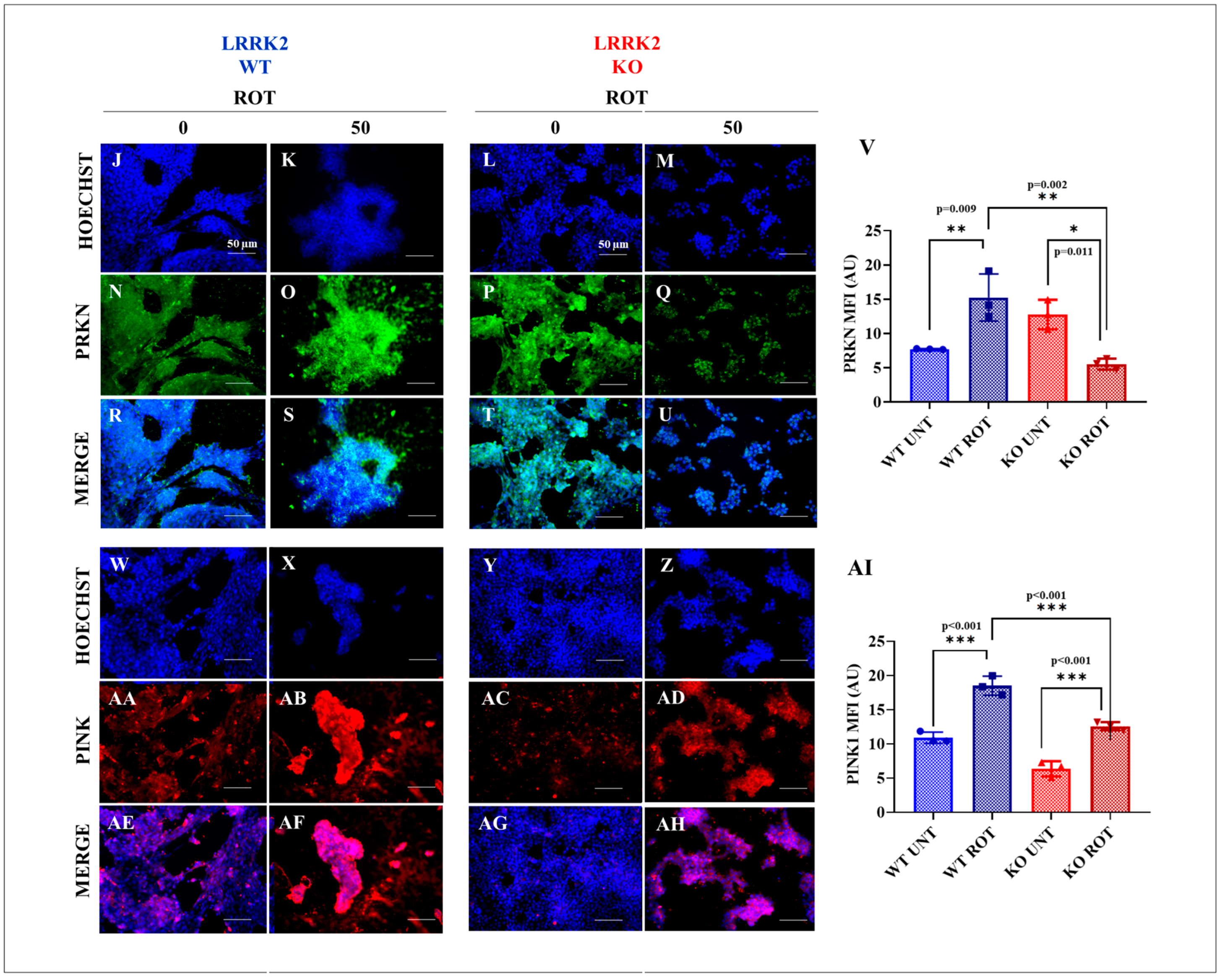 Ijms 24 10474 g005b Ijms 24 10474 g005b