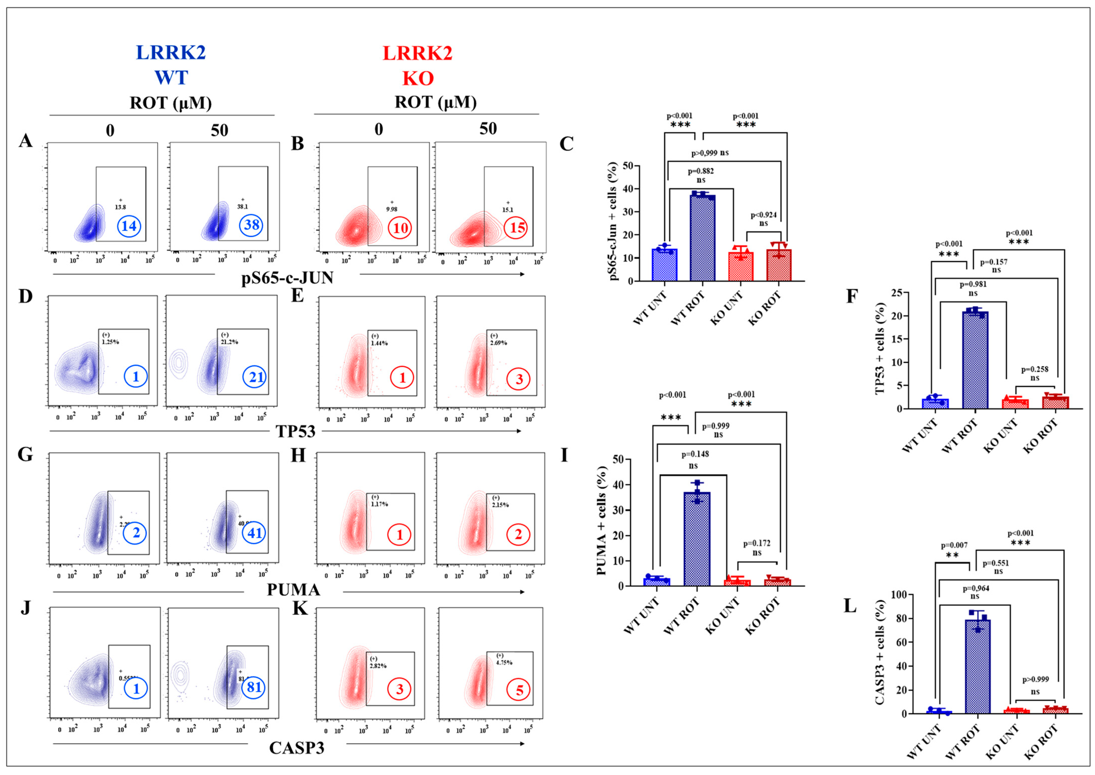 Ijms 24 10474 g007a Ijms 24 10474 g007a