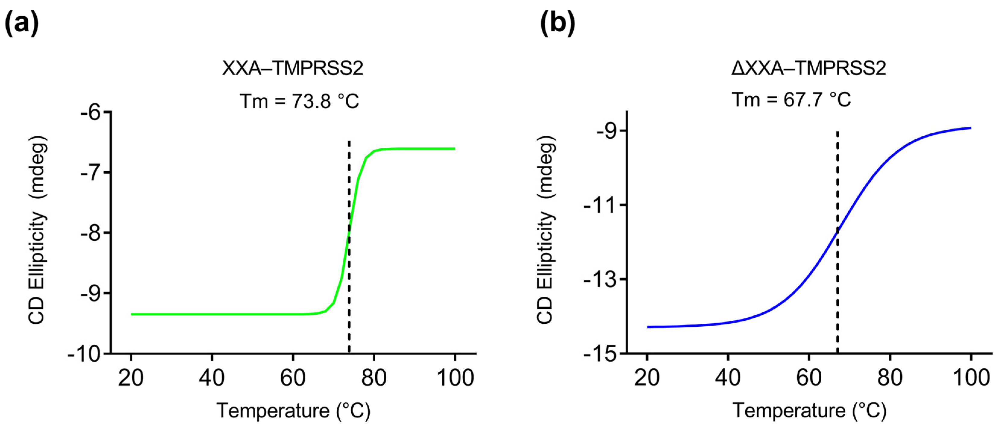 Ijms 24 10475 g008 Ijms 24 10475 g008