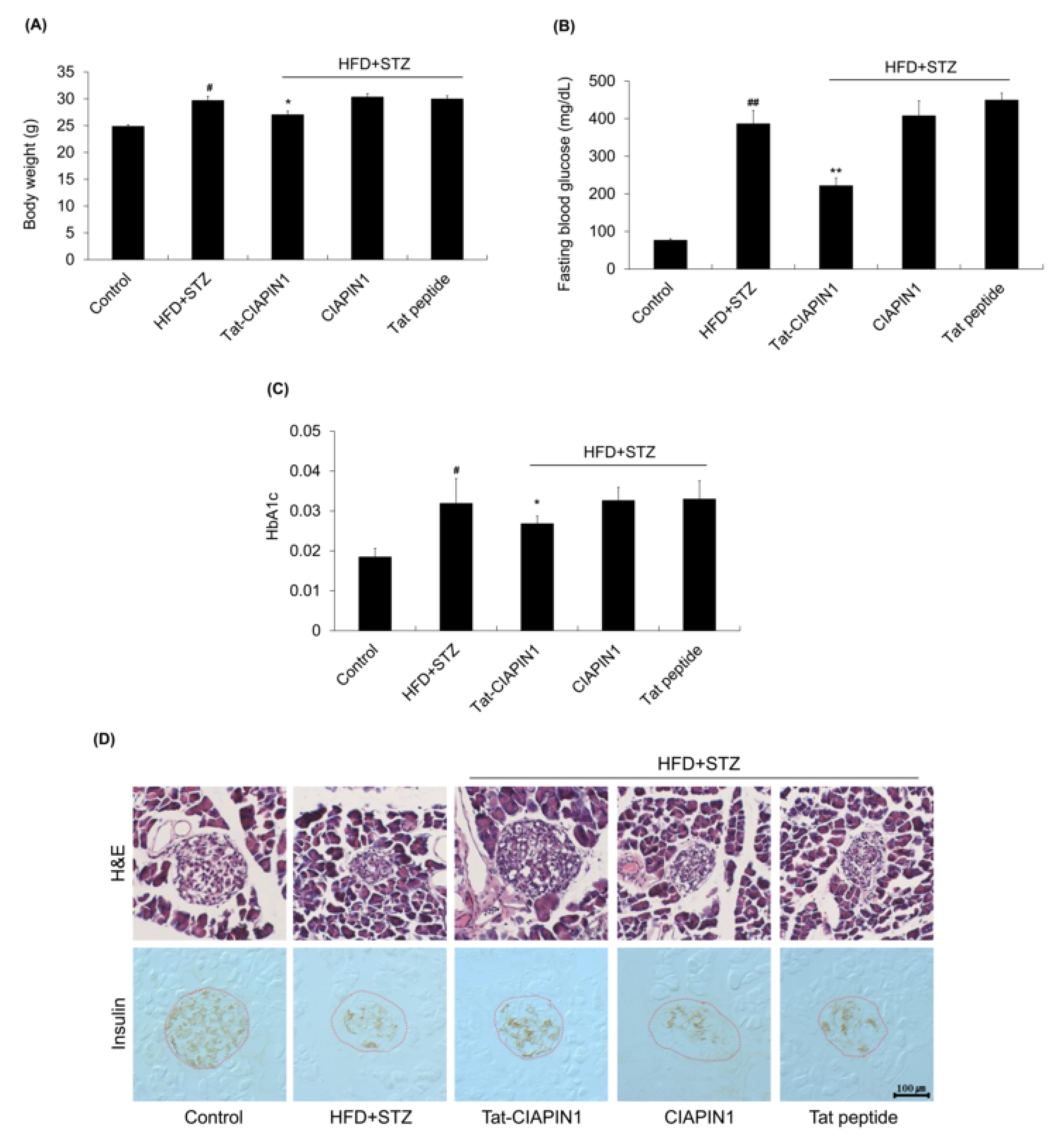 Ijms 24 10478 g006 Ijms 24 10478 g006