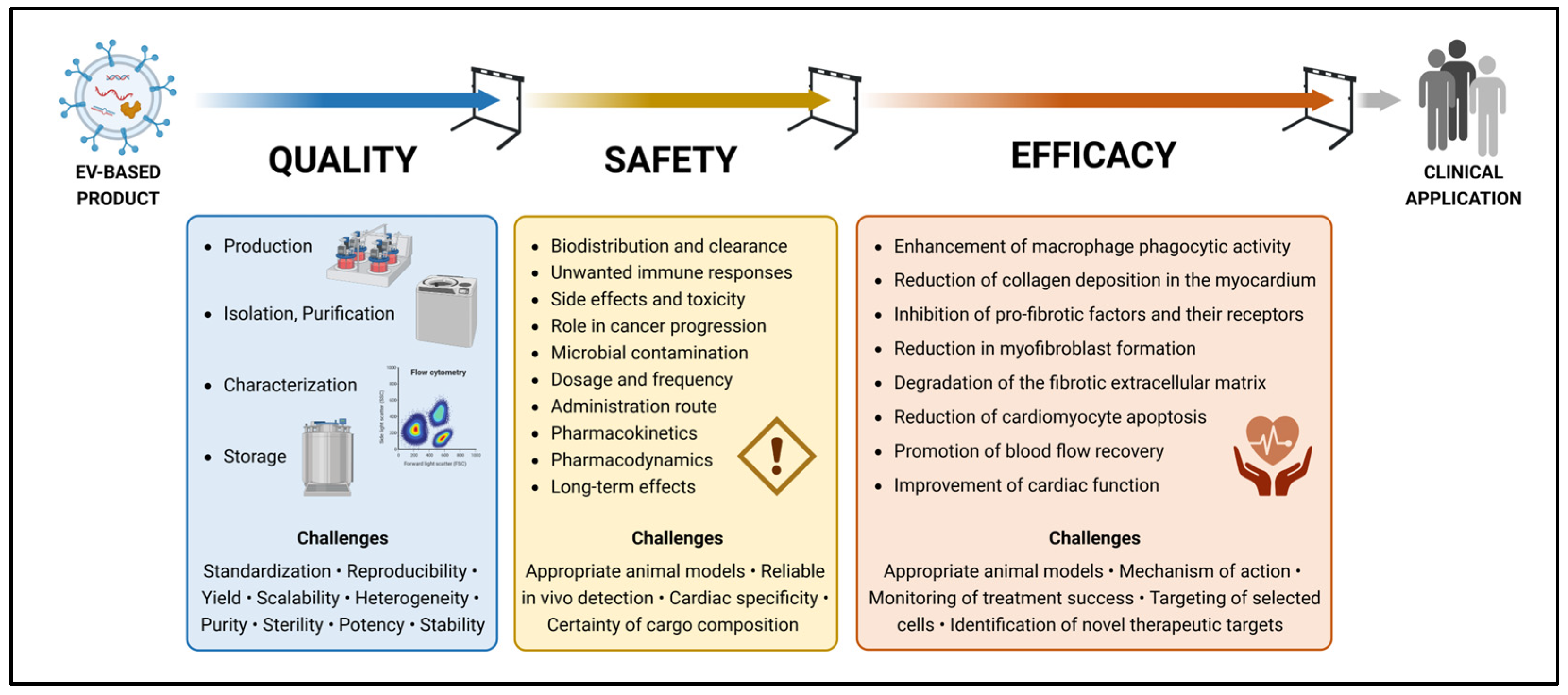 Ijms 24 10480 g001 Ijms 24 10480 g001