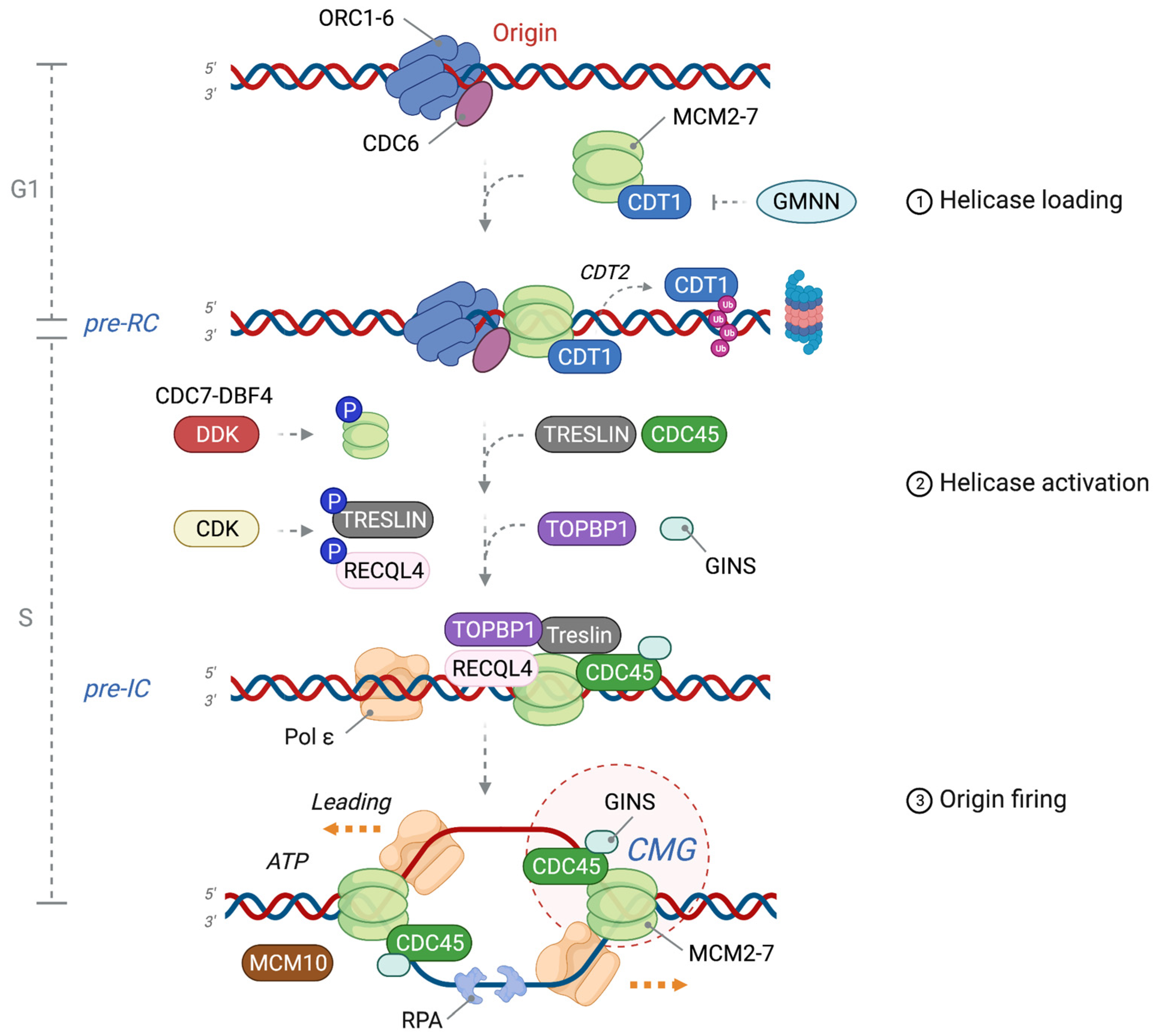 https://www.mdpi.com/ijms/ijms-24-10488/article_deploy/html/images/ijms-24-10488-g001.png