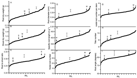 Physical Mapping of QTLs for Root Traits in a Population of