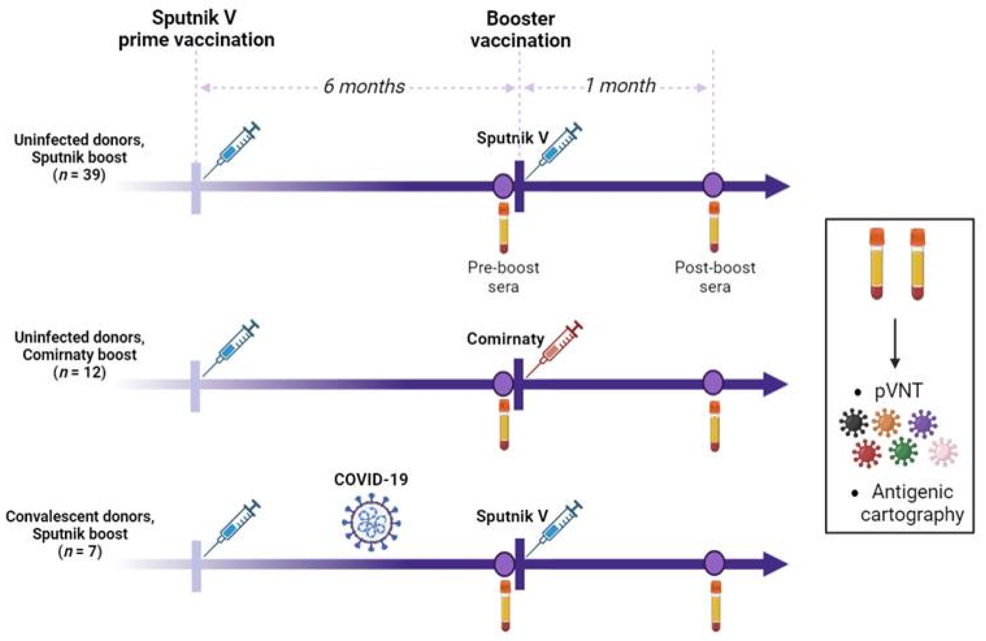 Ijms 24 10493 g001 Ijms 24 10493 g001