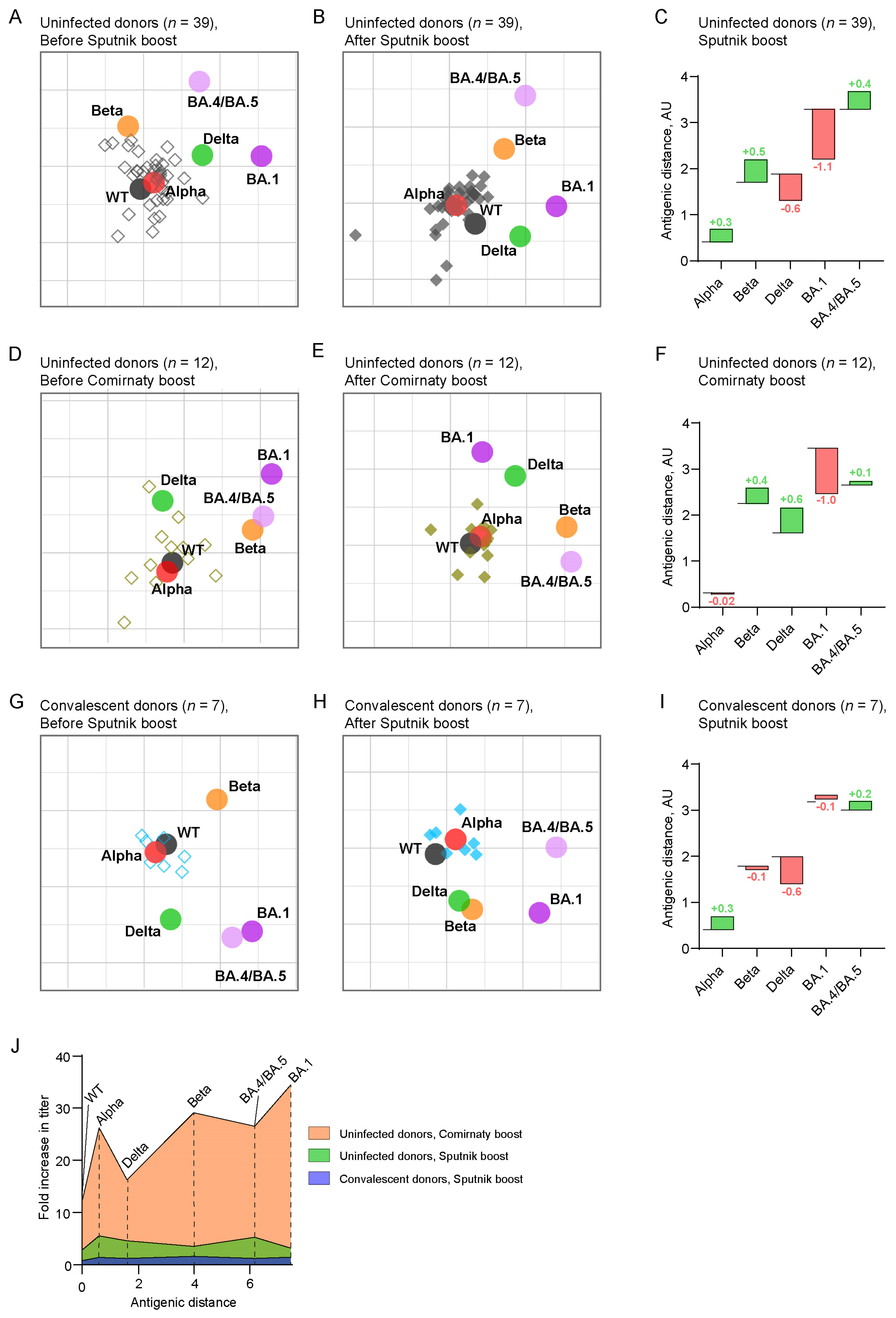Ijms 24 10493 g003 Ijms 24 10493 g003