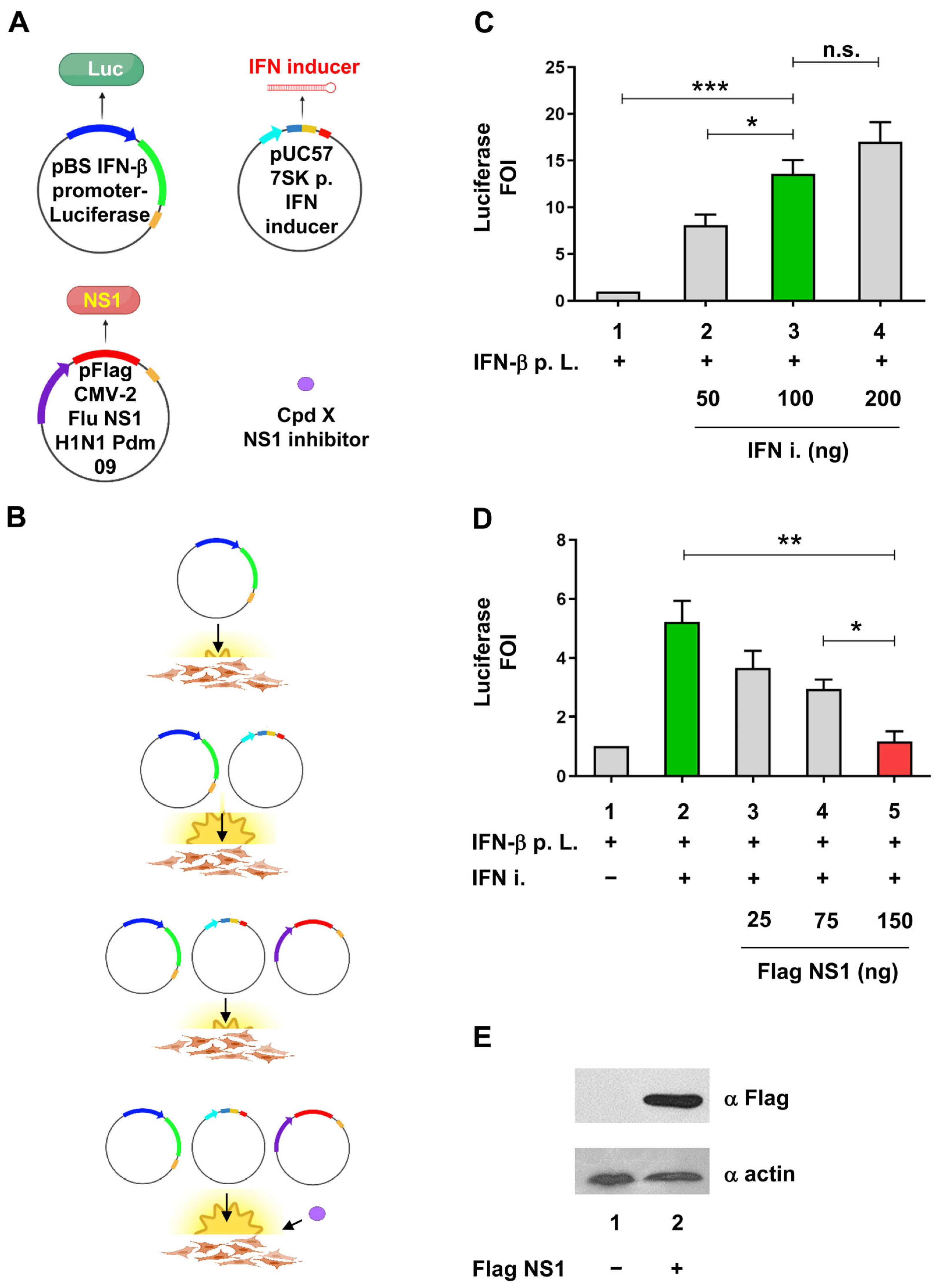 Ijms 24 10495 g001 Ijms 24 10495 g001