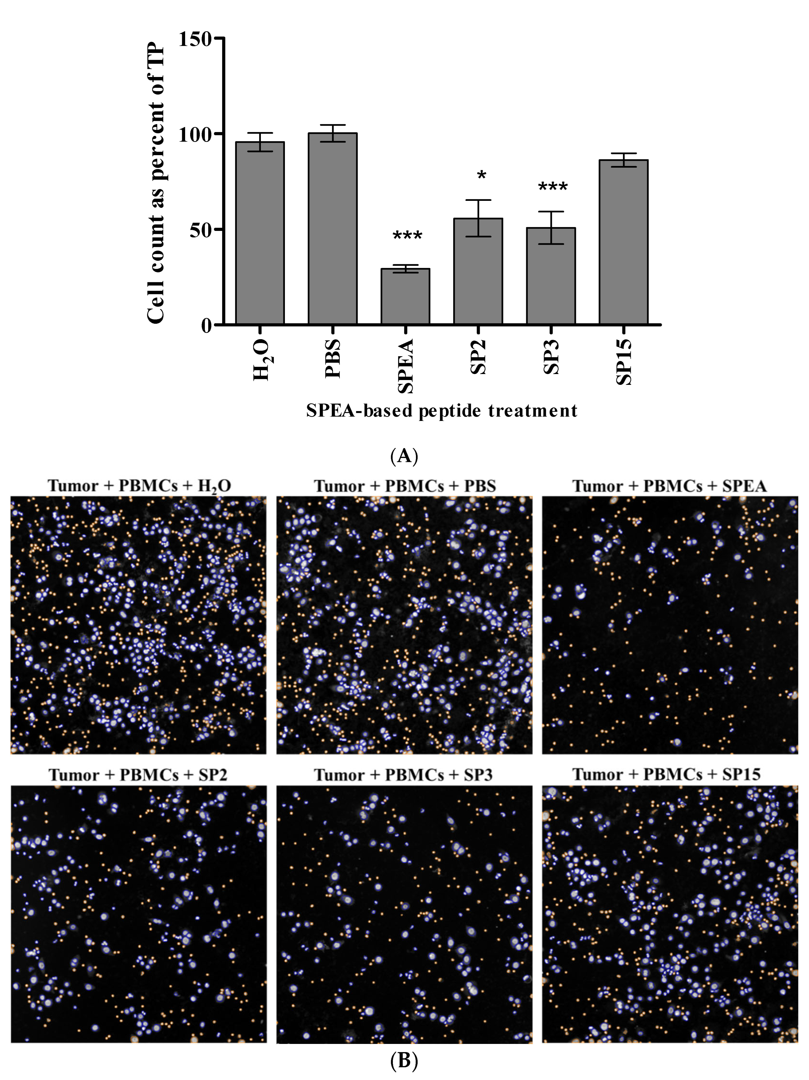 Ijms 24 10507 g006 Ijms 24 10507 g006