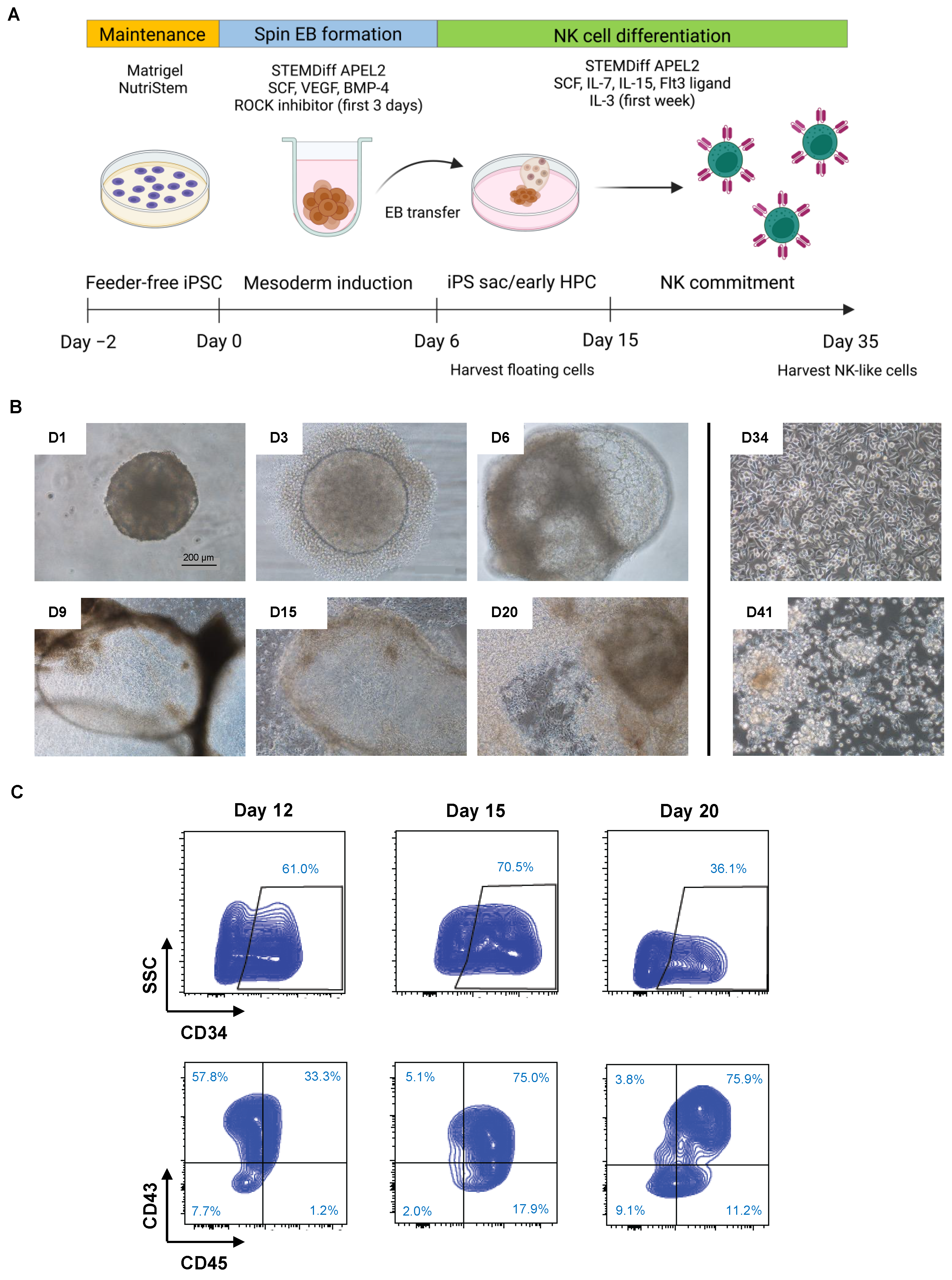 Ijms 24 10508 g004 Ijms 24 10508 g004