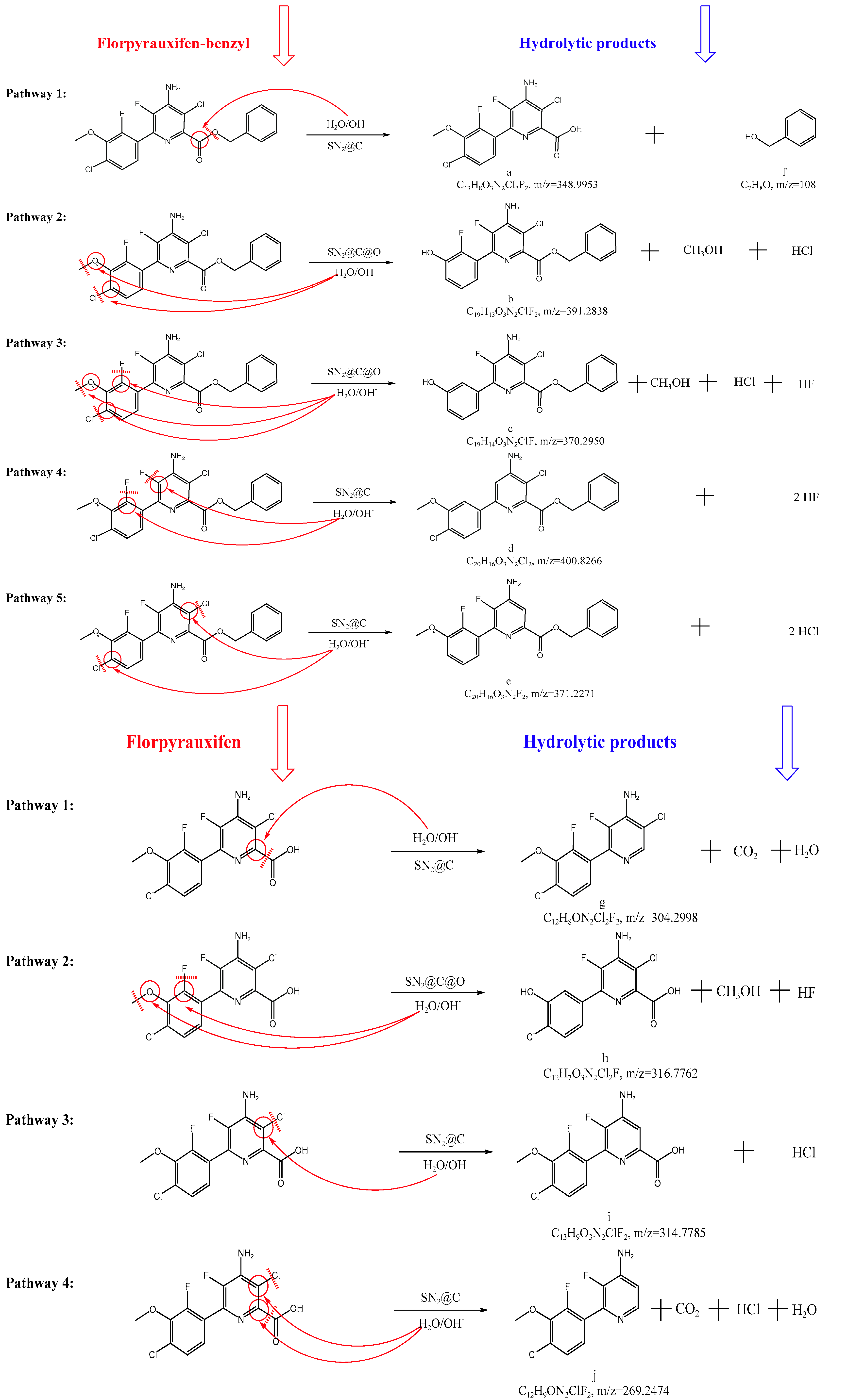 Ijms 24 10521 g006 Ijms 24 10521 g006