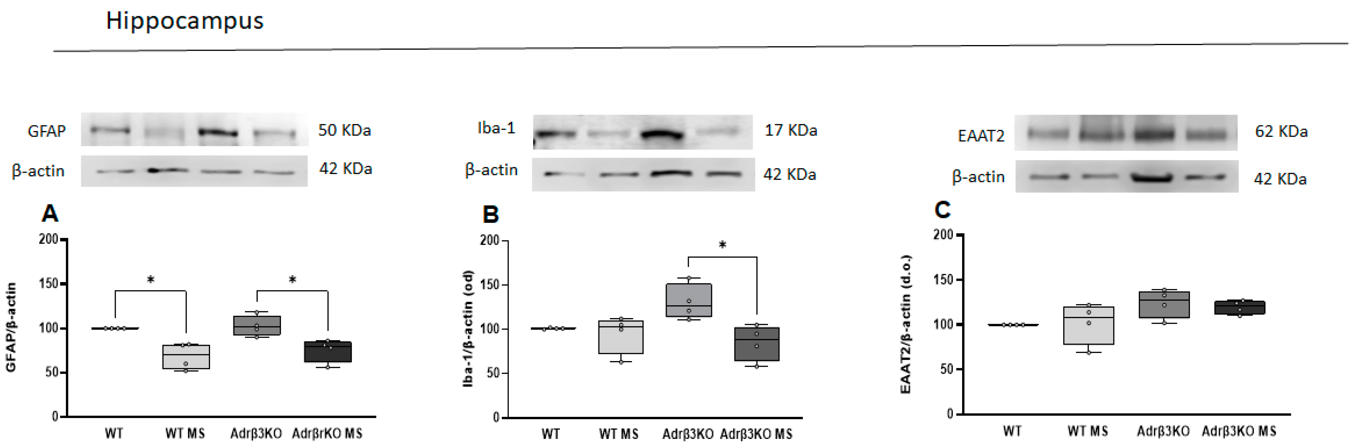 Ijms 24 10522 g003 Ijms 24 10522 g003